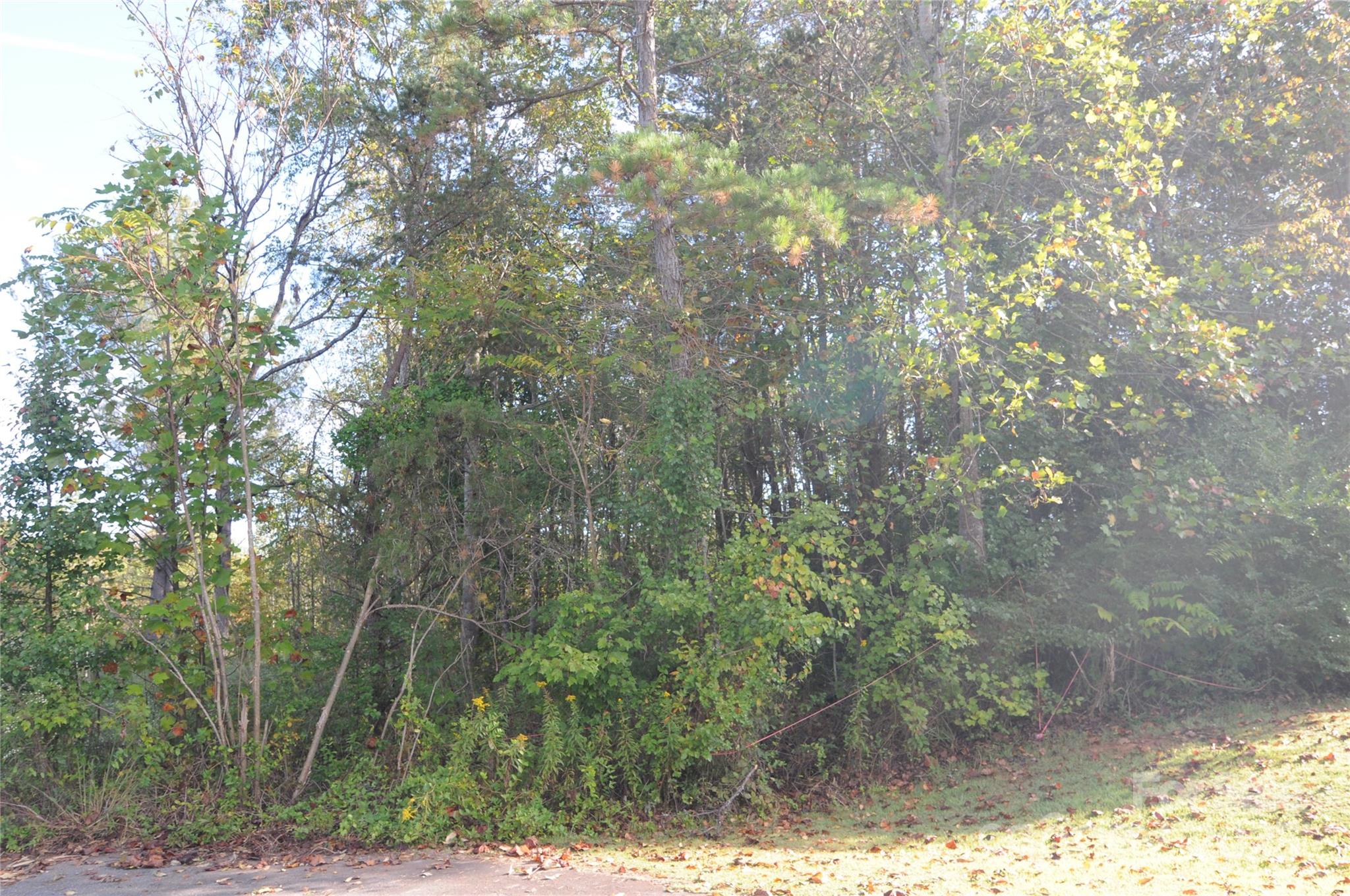 2320 Dobbins Court Property Photo 4