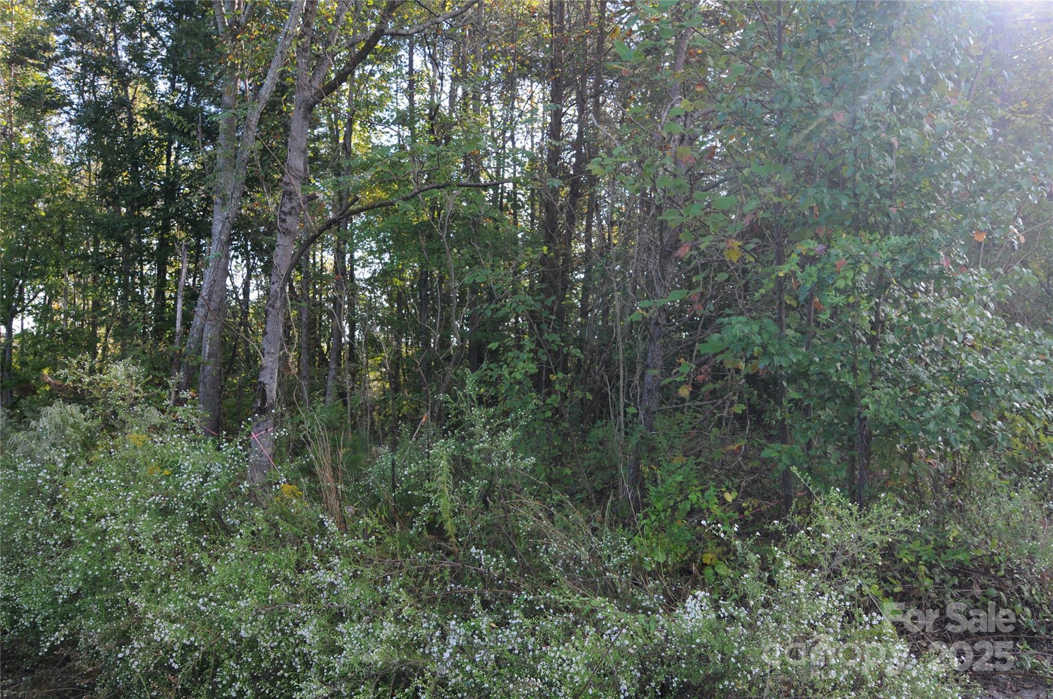 2320 Dobbins Court Property Photo 5