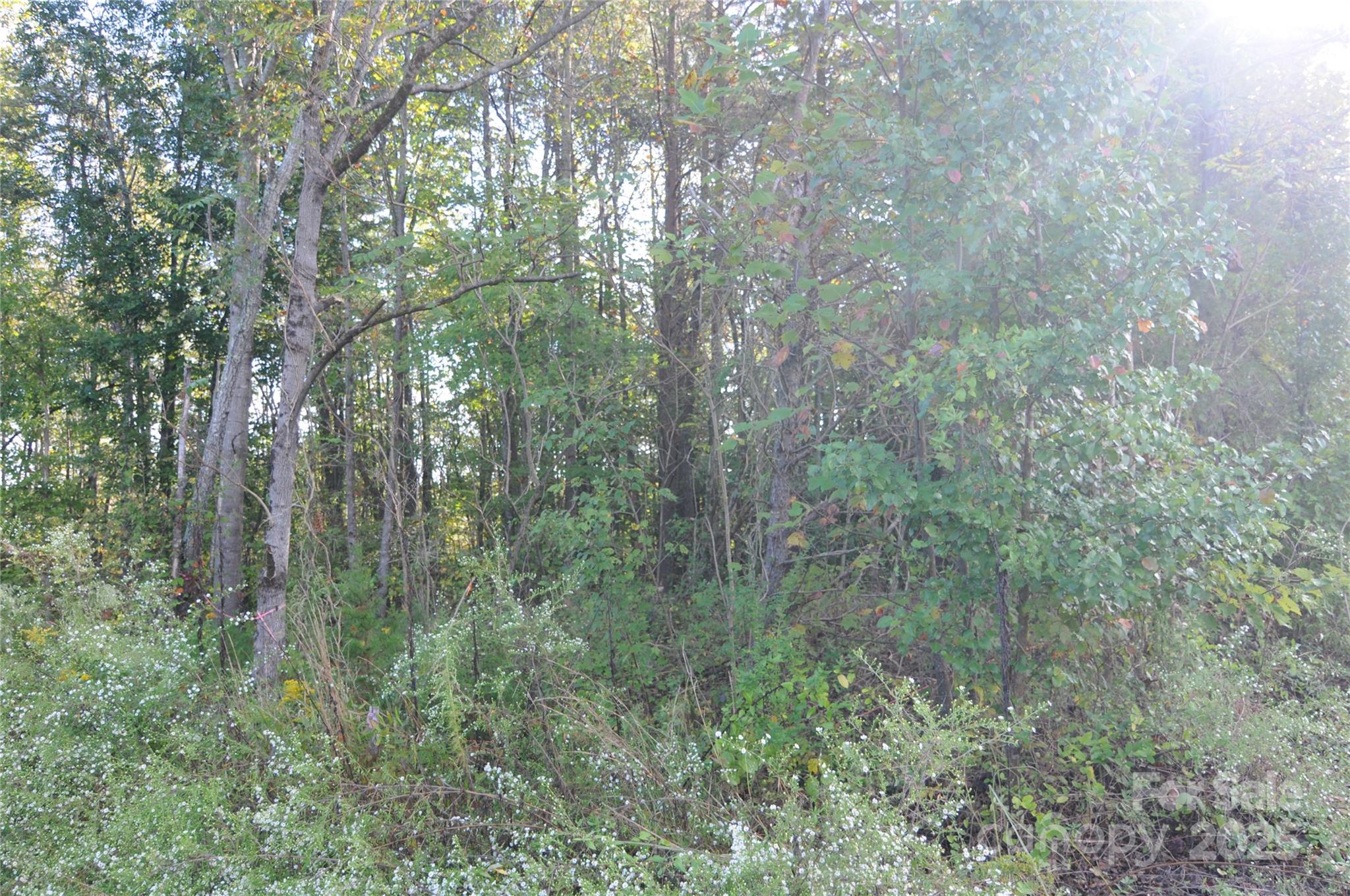 2320 Dobbins Court Property Photo 6