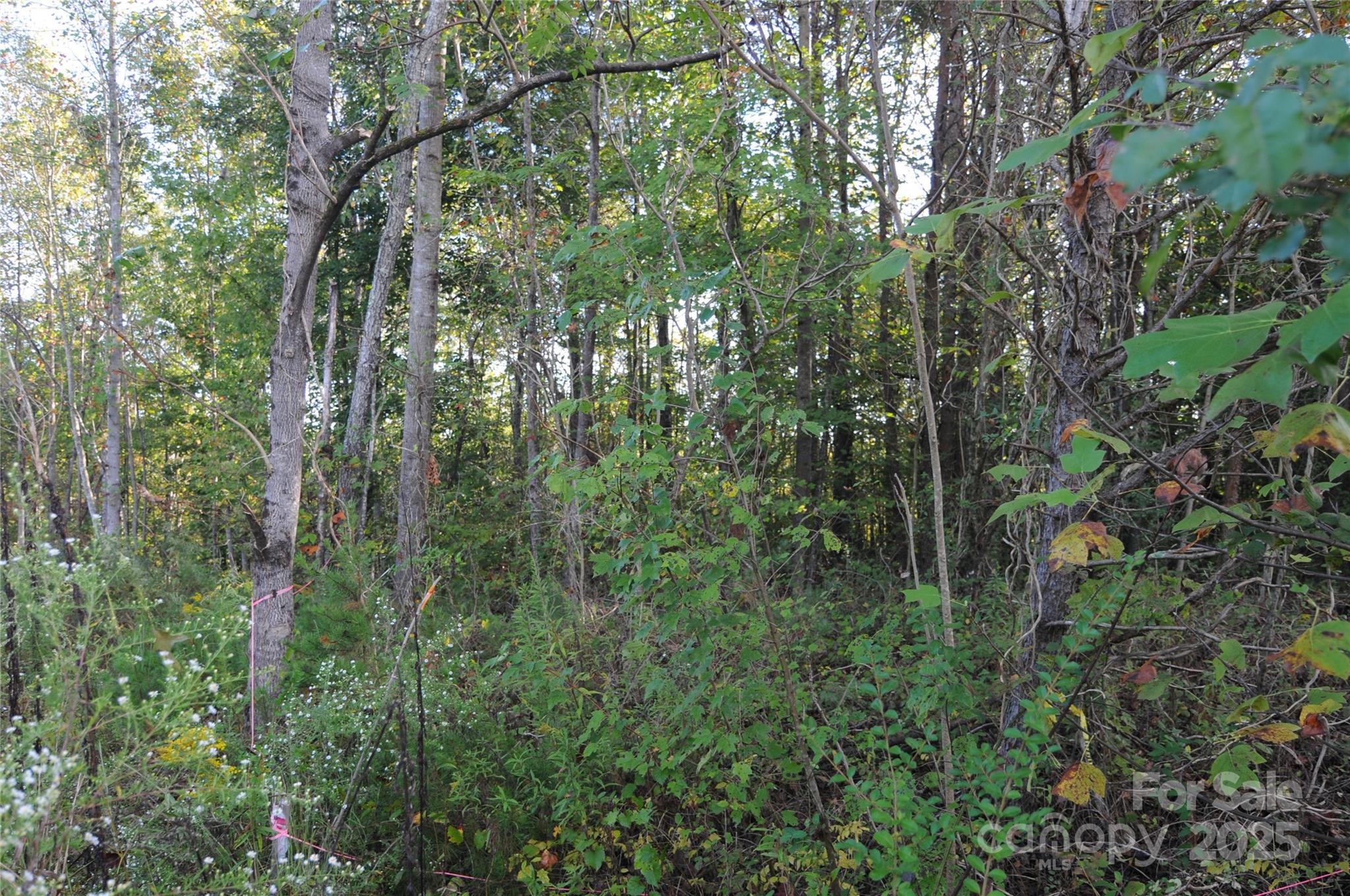 2320 Dobbins Court Property Photo 7