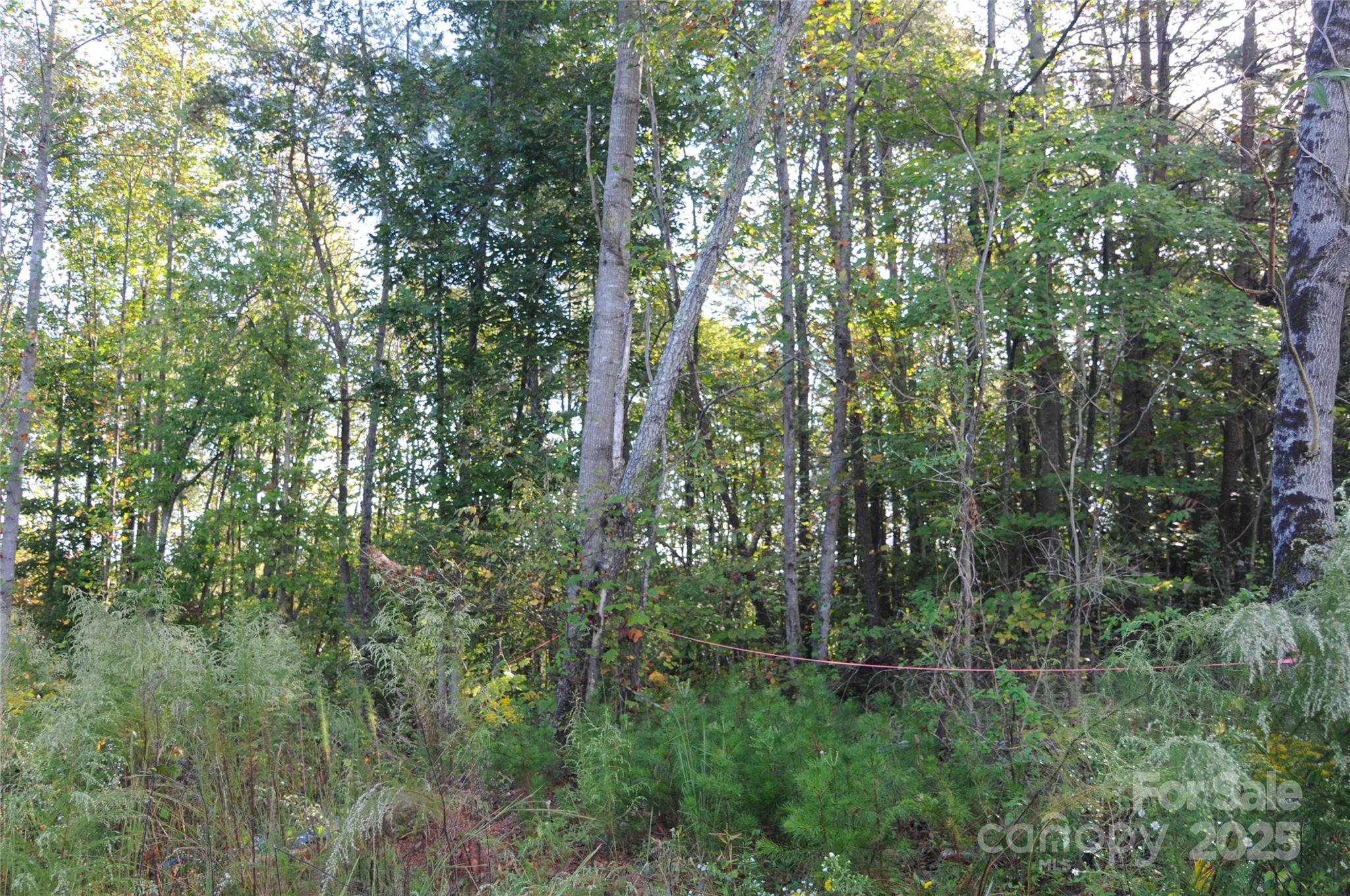 2320 Dobbins Court Property Photo 8