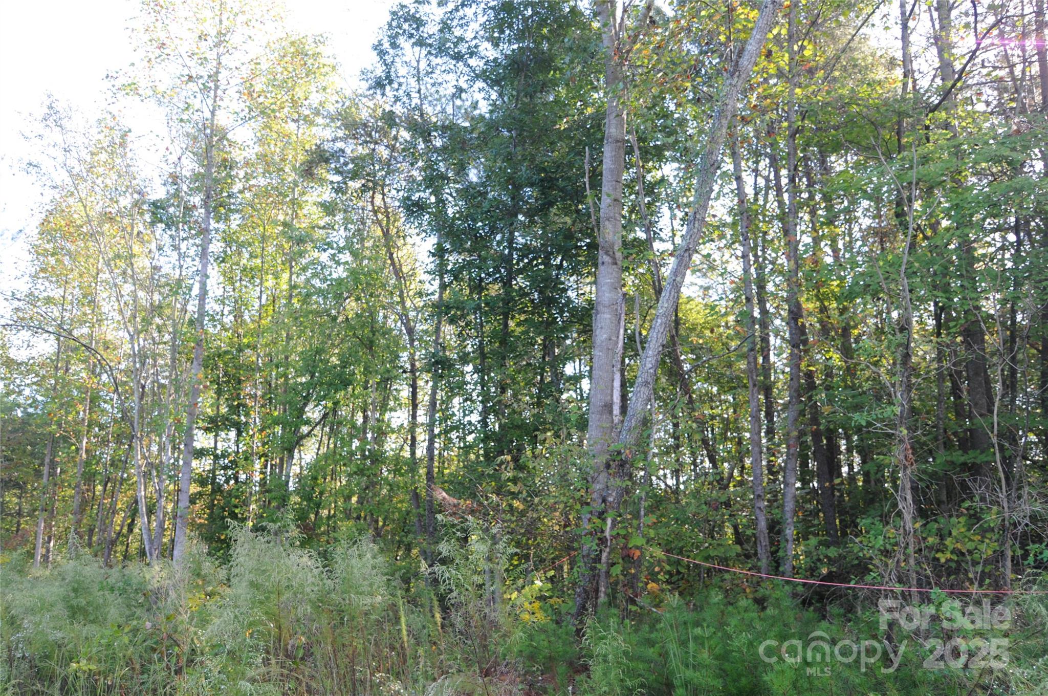 2320 Dobbins Court Property Photo 9