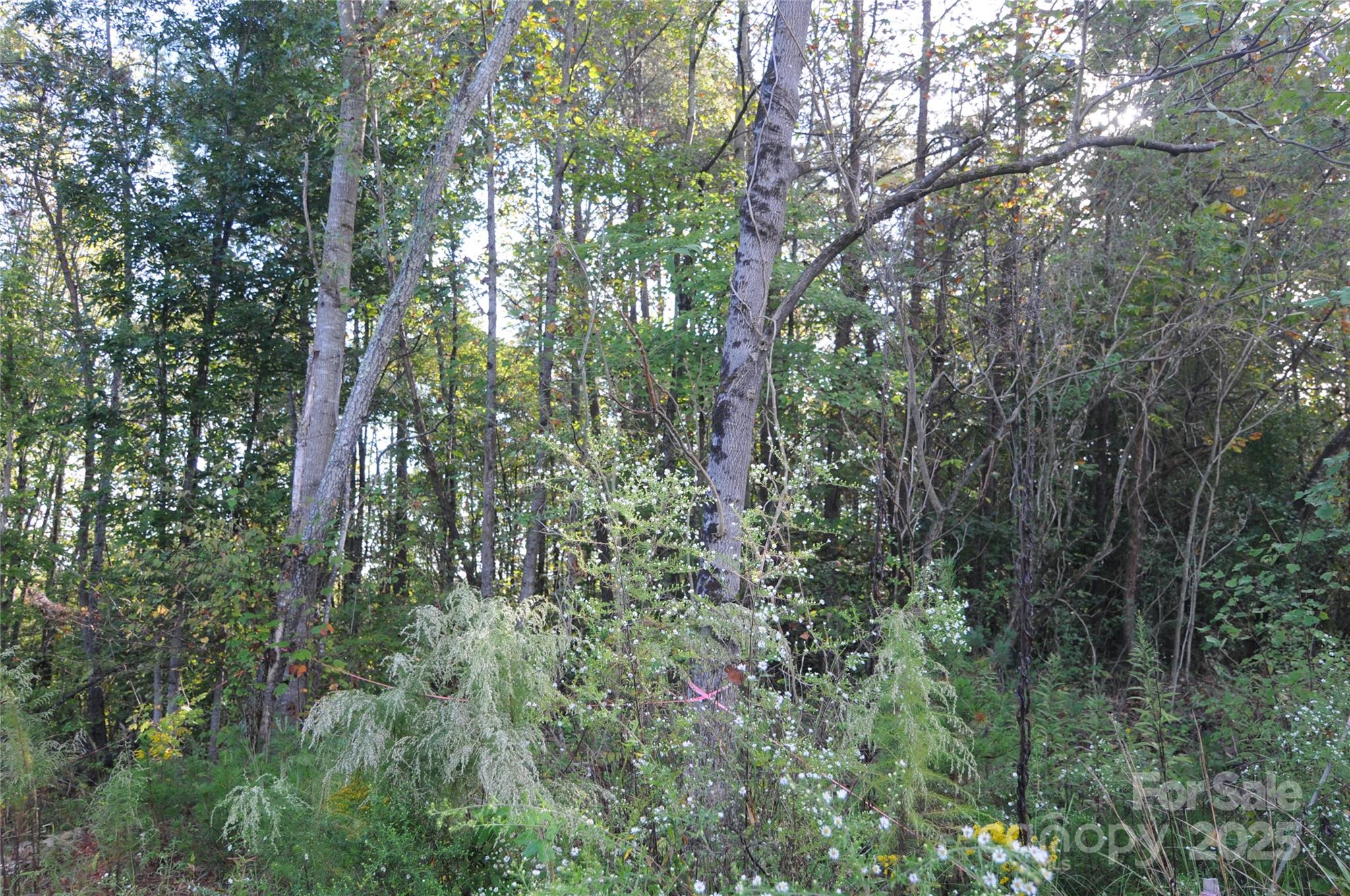 2320 Dobbins Court Property Photo 10