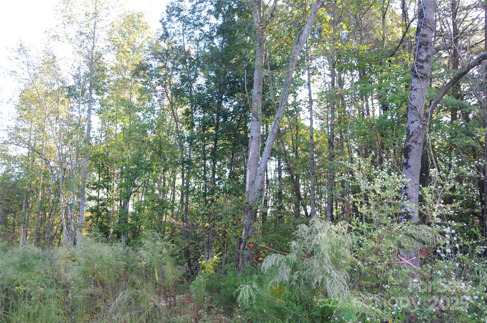 2320 Dobbins Court Property Photo 11