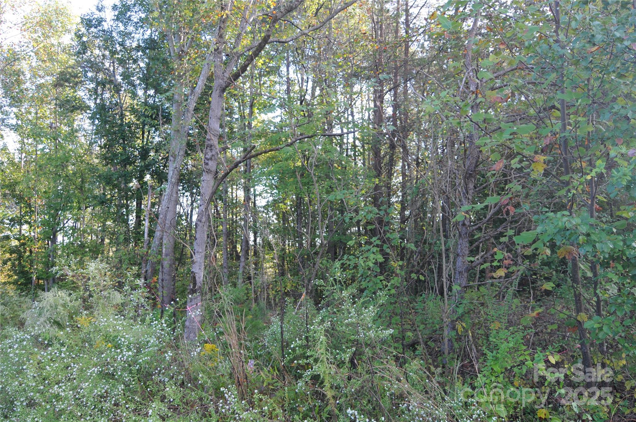 2320 Dobbins Court Property Photo 12