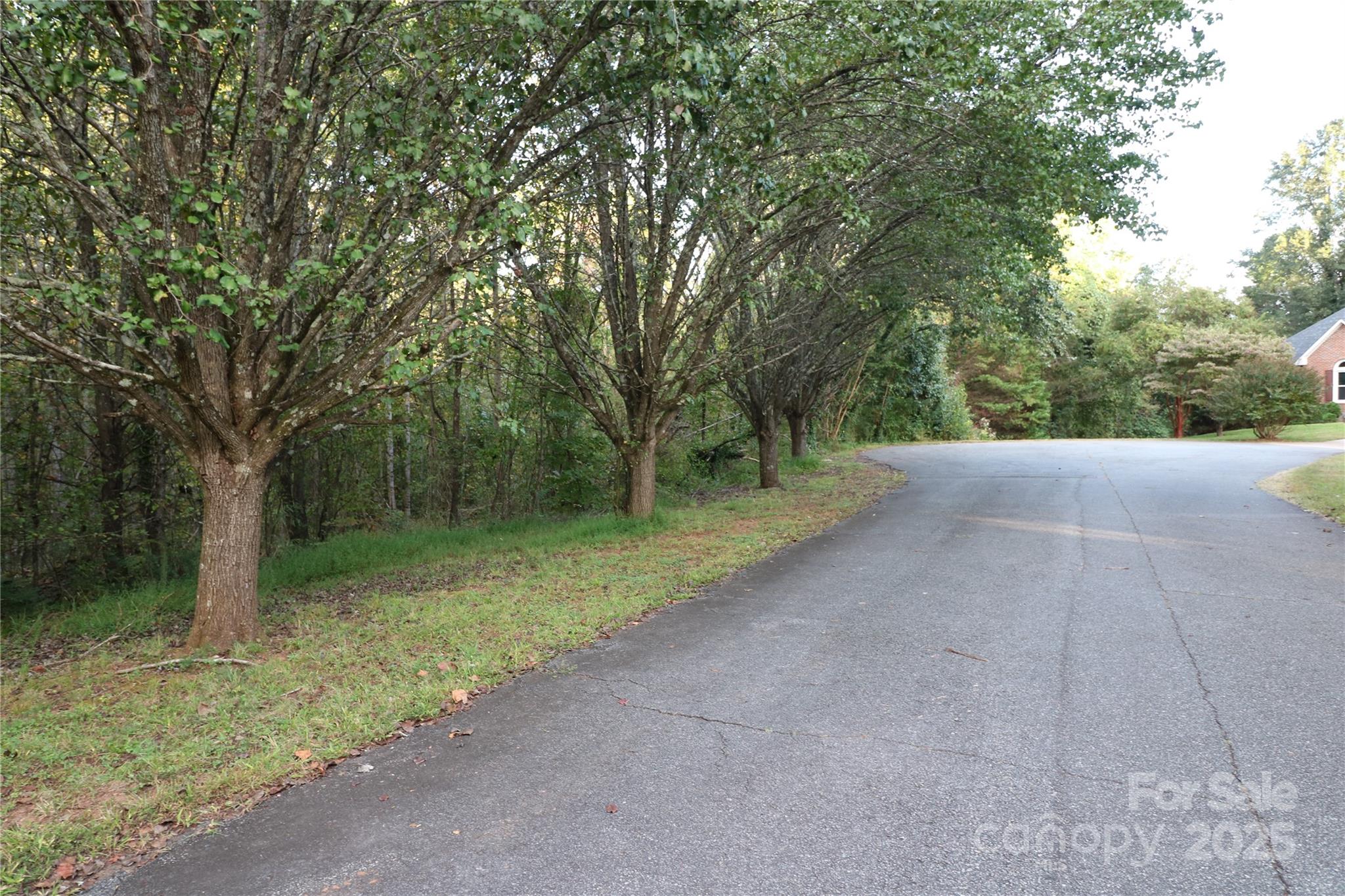 0 Carver Lane Property Photo 2