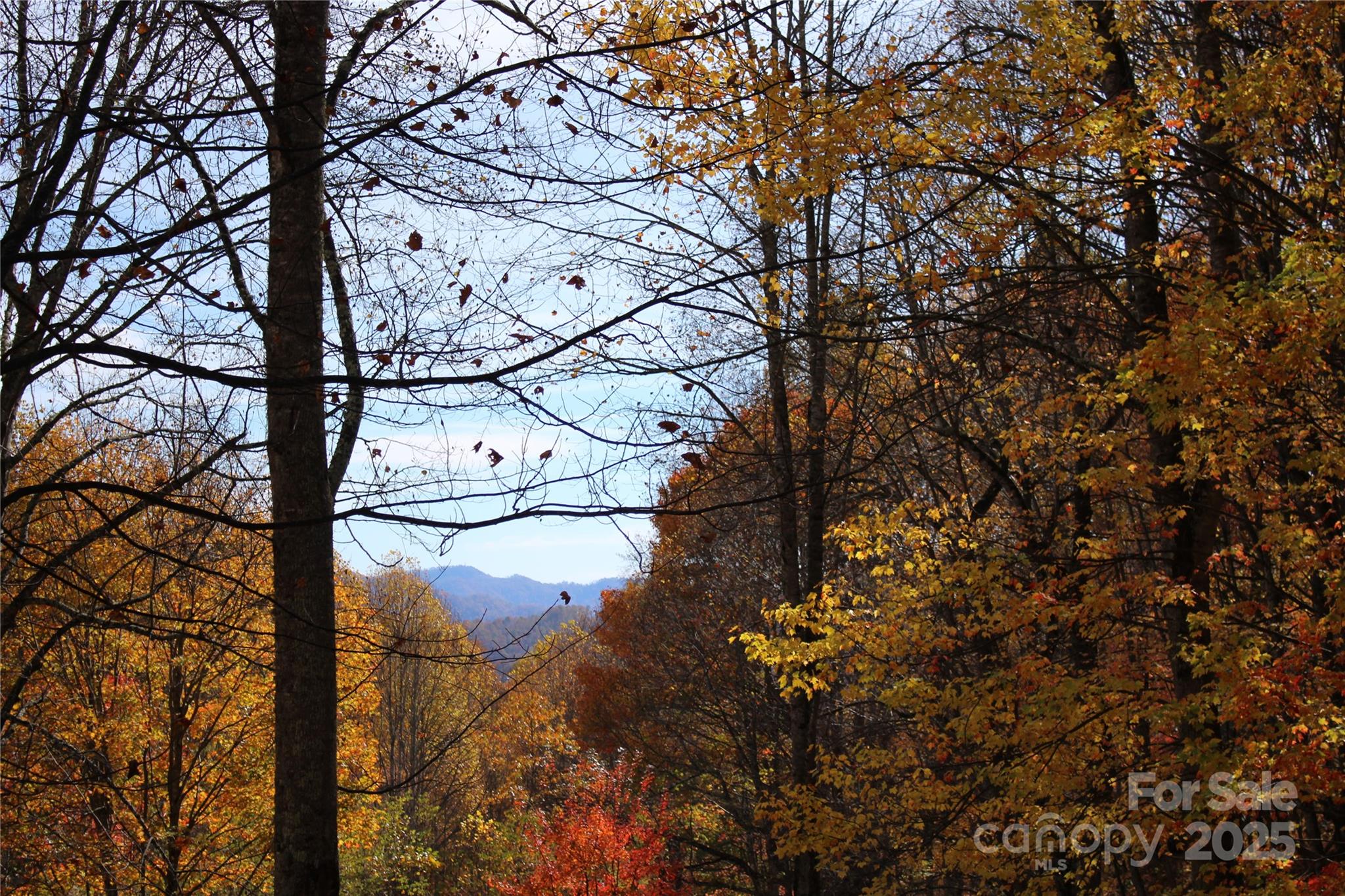 1571 Roaring Fork Road Property Photo 4