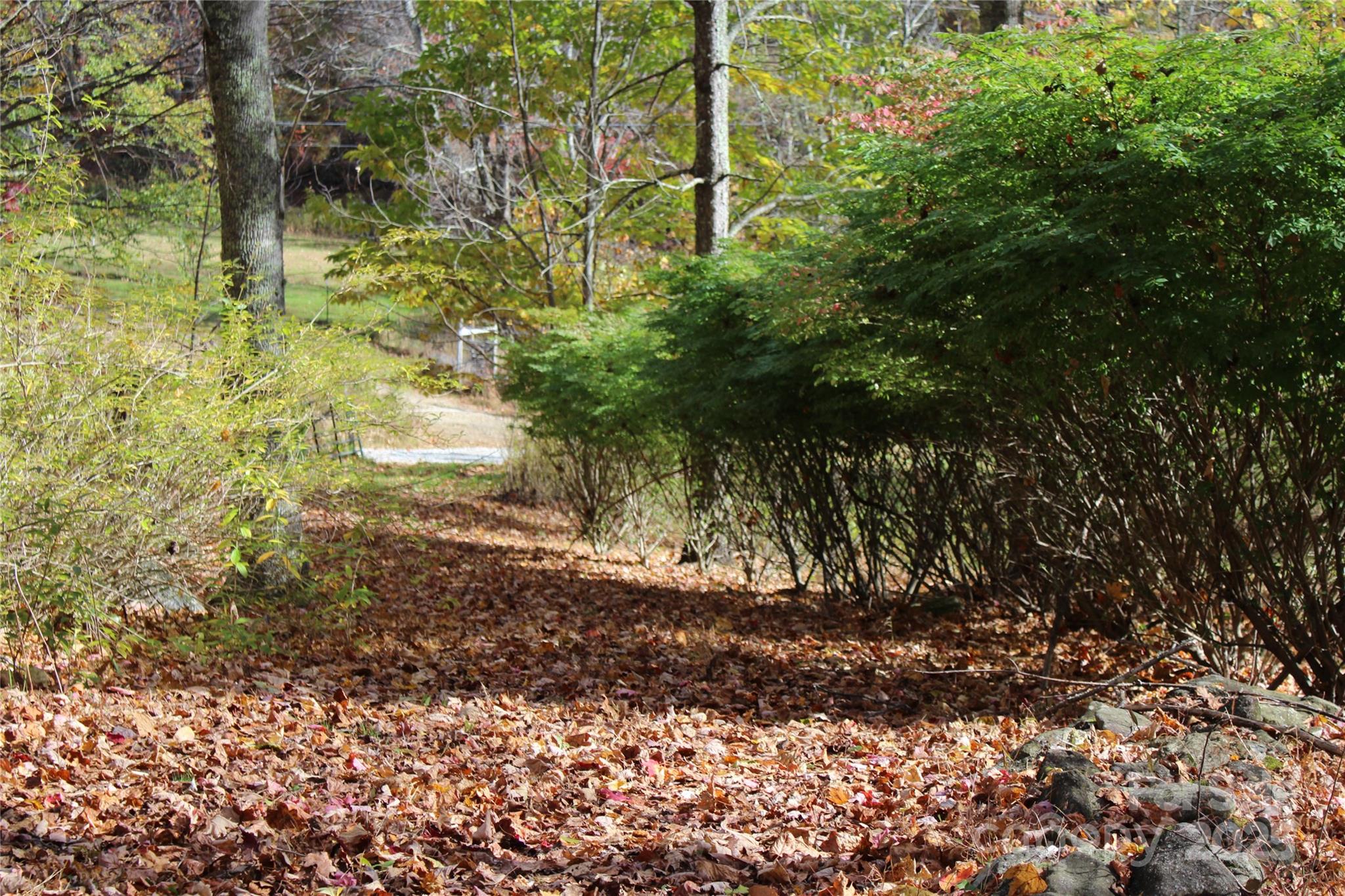 1571 Roaring Fork Road Property Photo 18