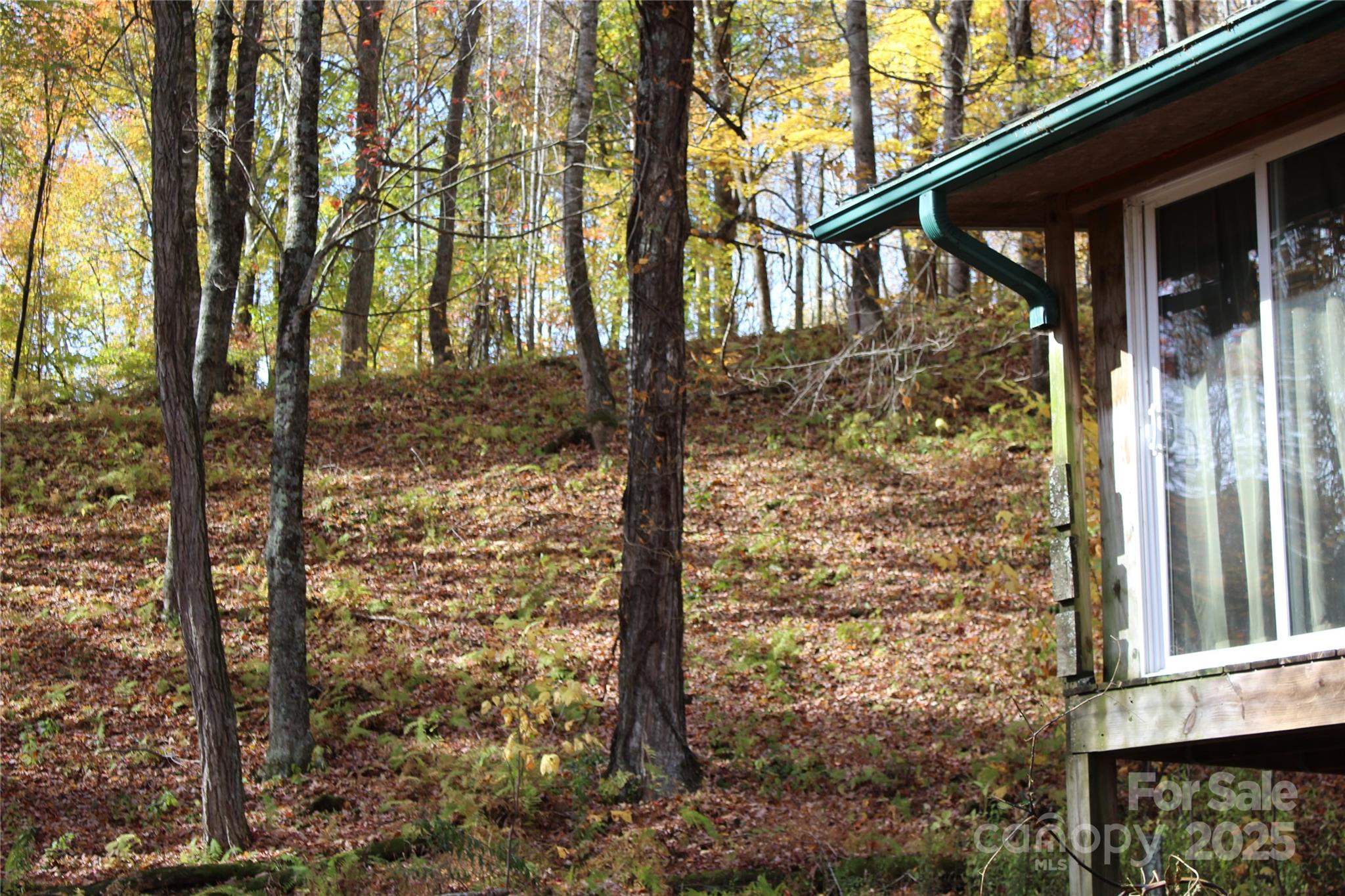 1571 Roaring Fork Road Property Photo 32
