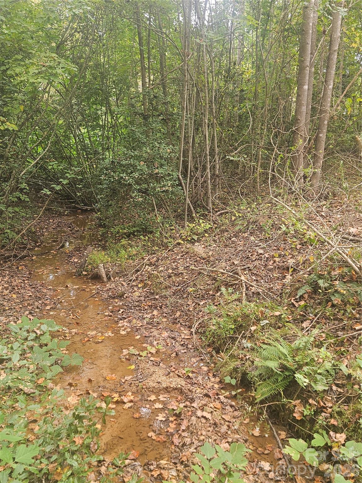 158 Dusty Hollow Property Photo 4