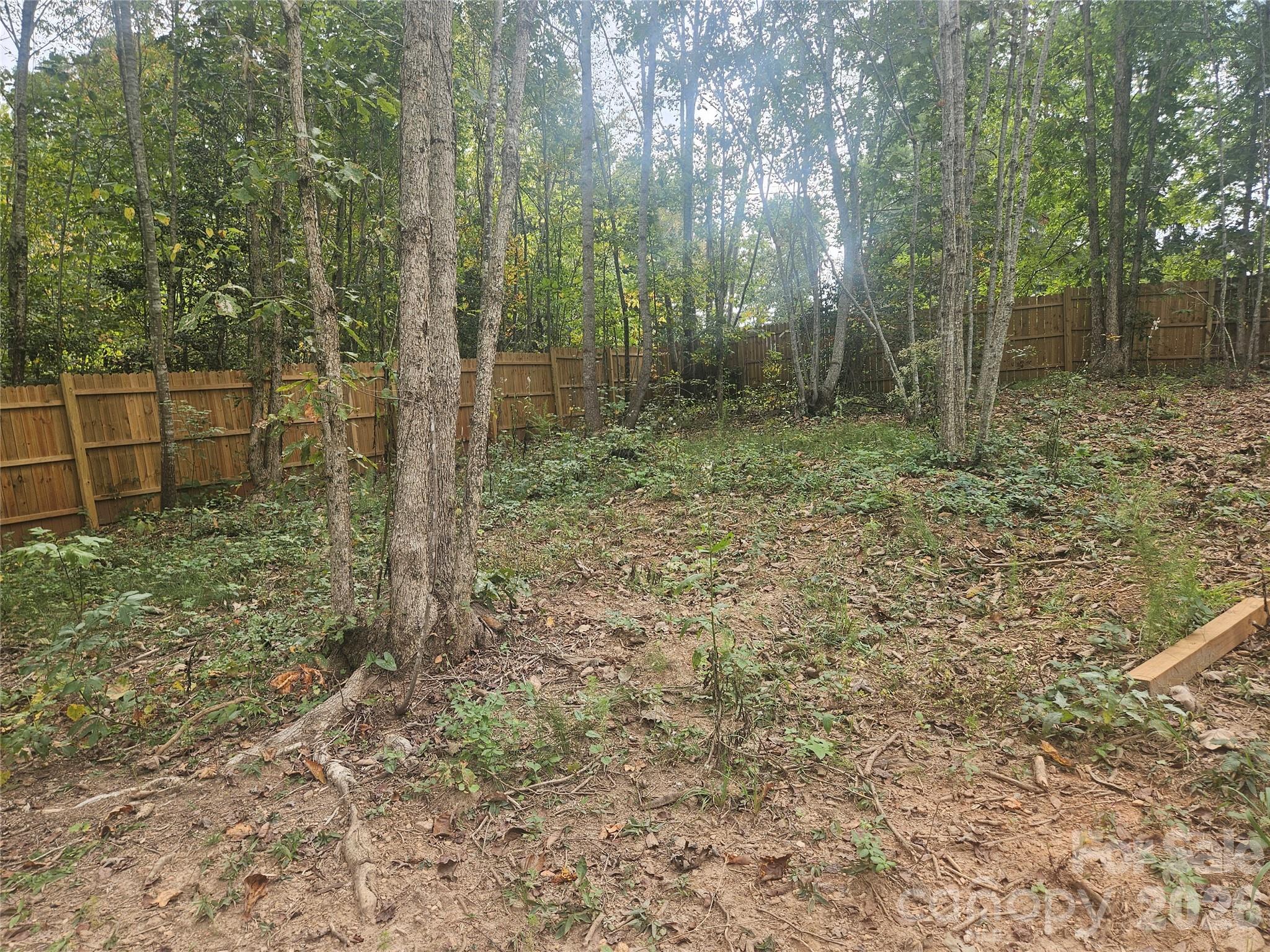 158 Dusty Hollow Property Photo 10