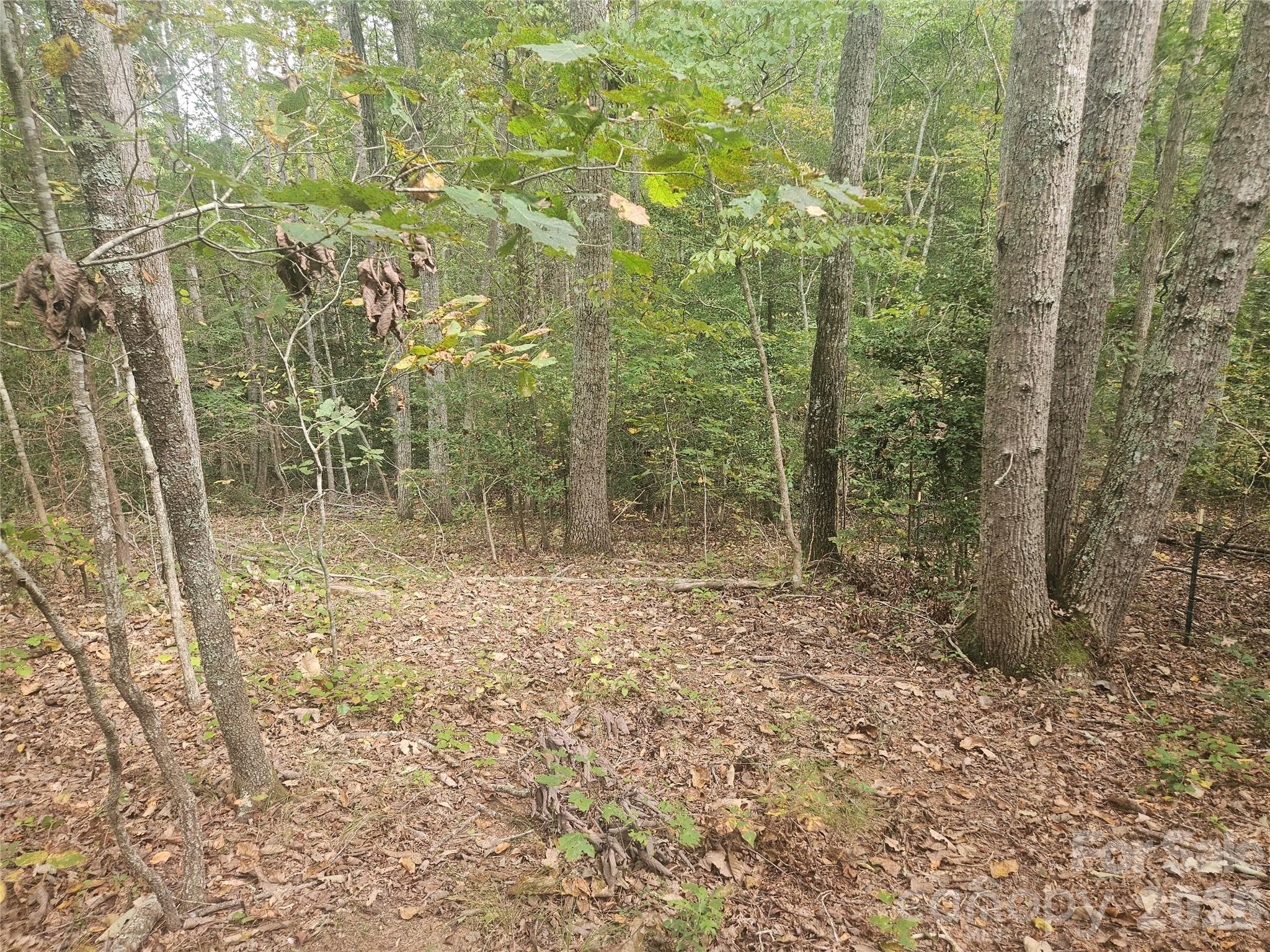 158 Dusty Hollow Property Photo 11