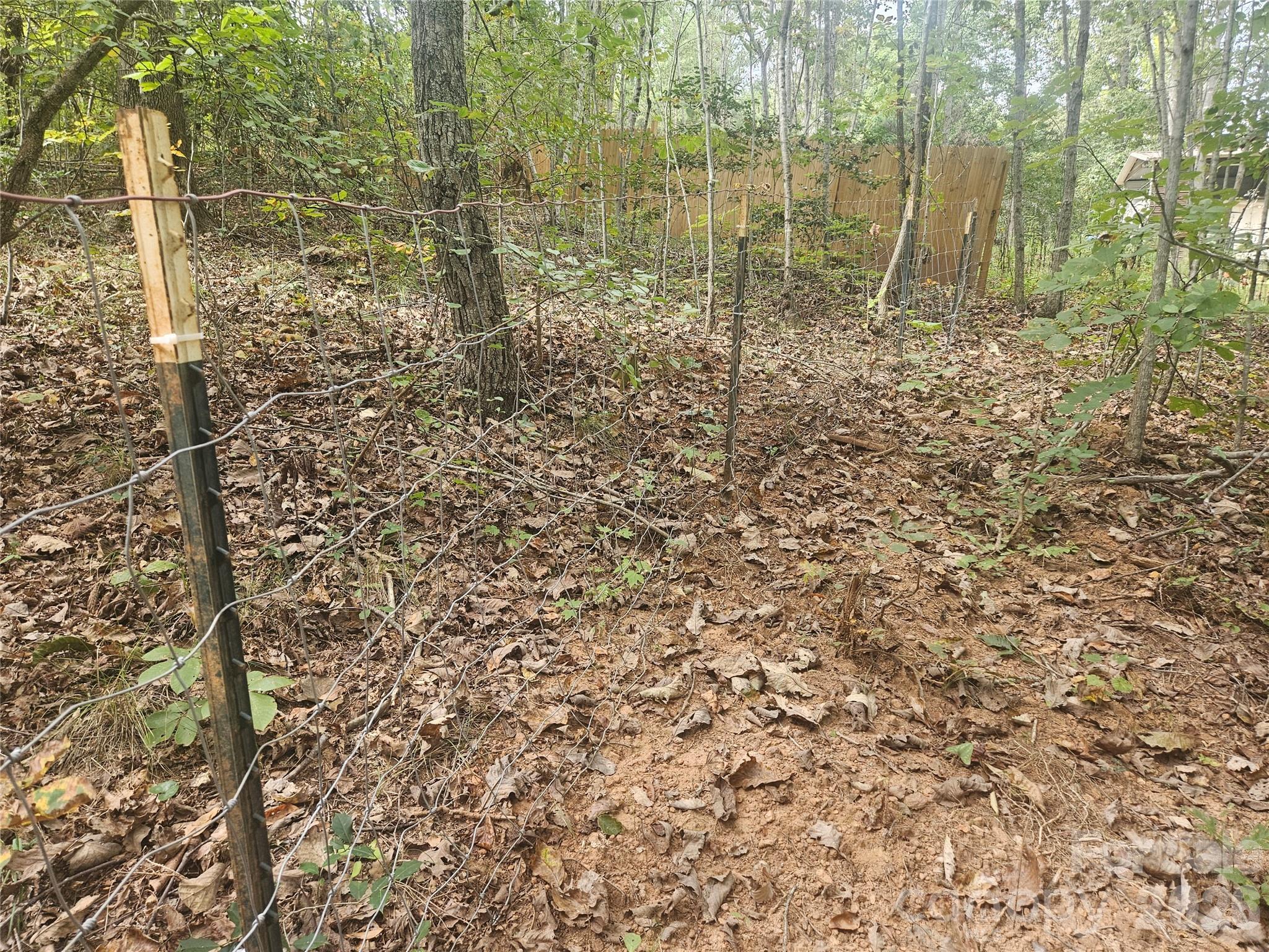 158 Dusty Hollow Property Photo 13