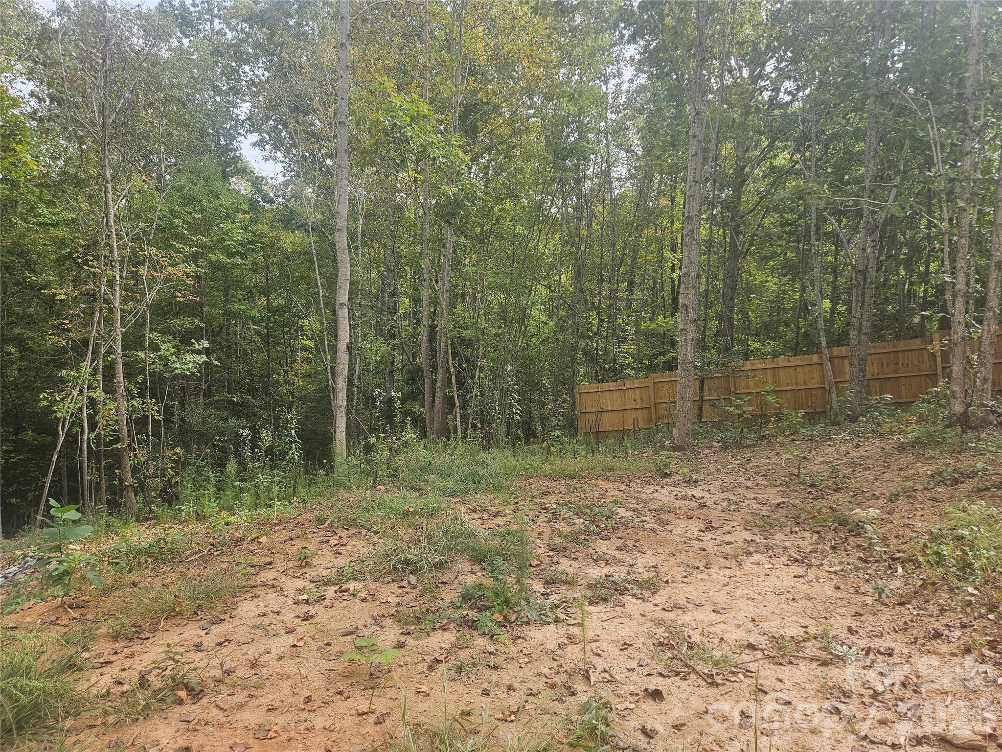 158 Dusty Hollow Property Photo 17