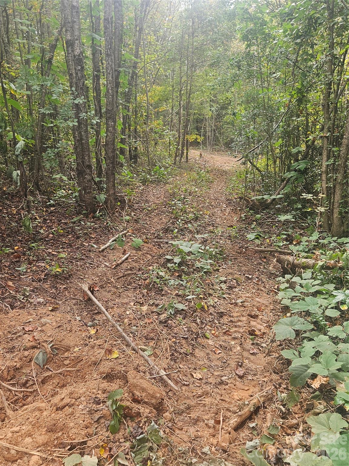 158 Dusty Hollow Property Photo 26