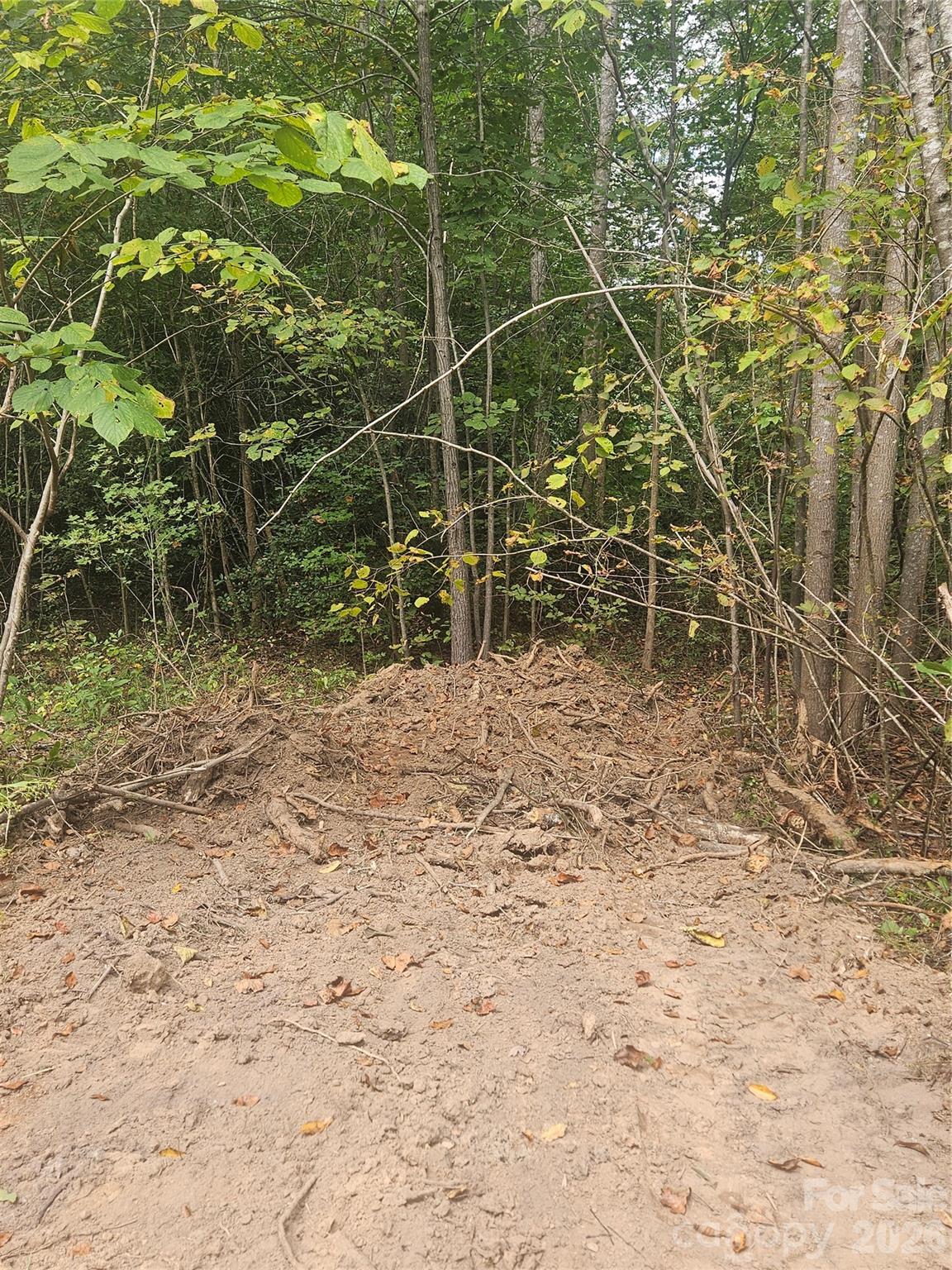 158 Dusty Hollow Property Photo 27