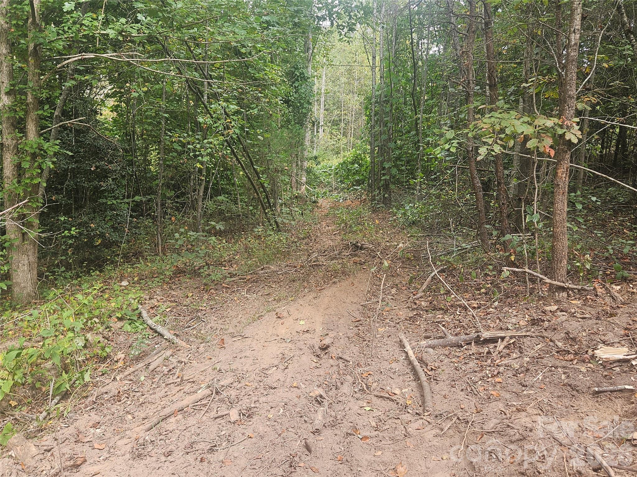 158 Dusty Hollow Property Photo 29