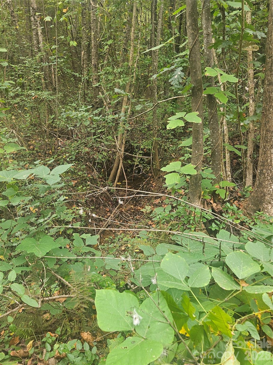 158 Dusty Hollow Property Photo 32