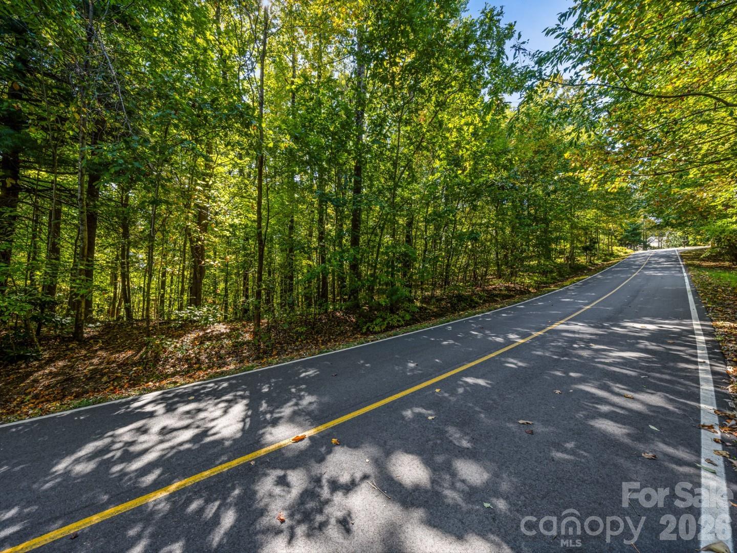 Lot 10 Berry Creek Drive Property Photo 20