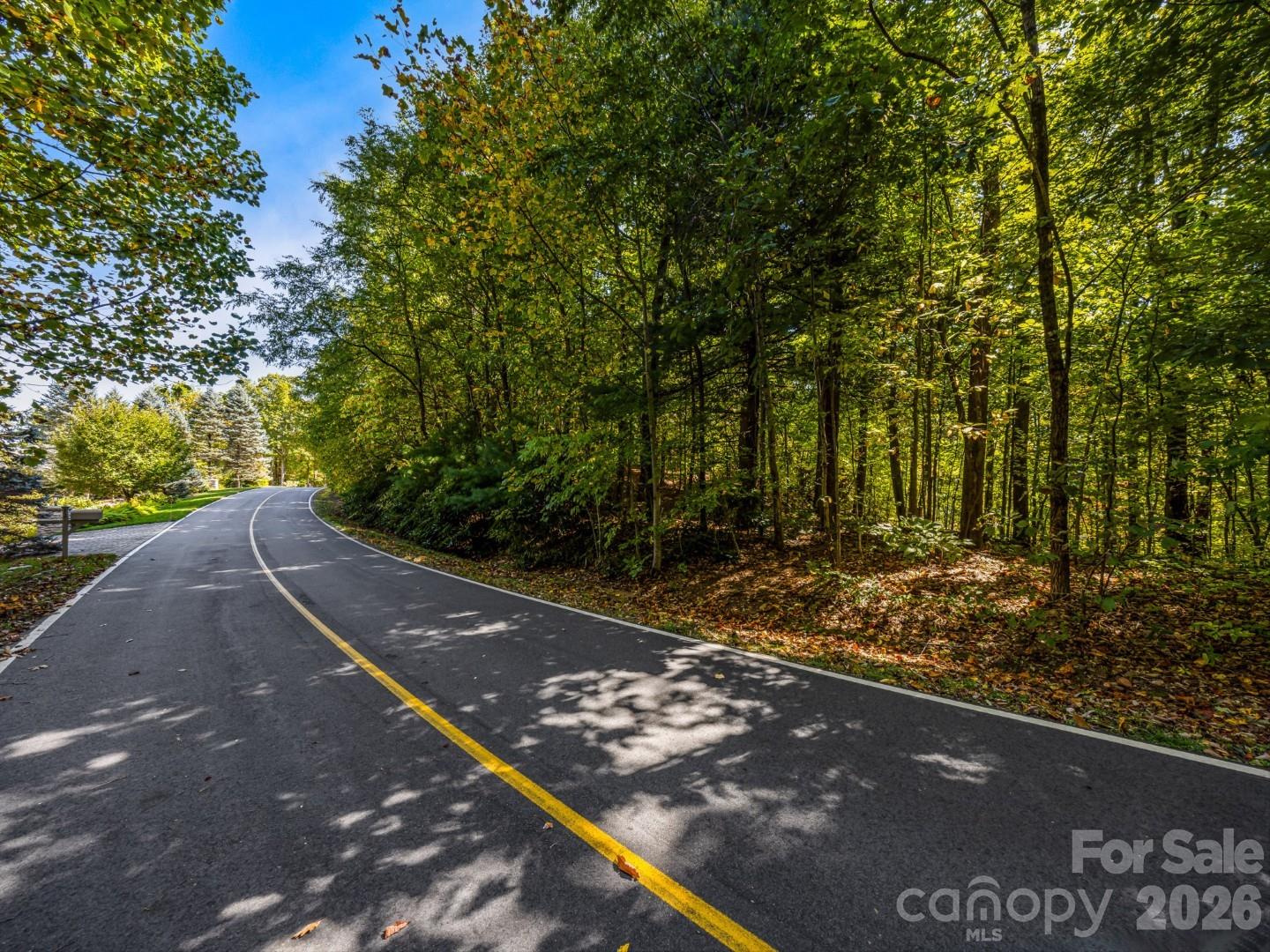 Lot 10 Berry Creek Drive Property Photo 21