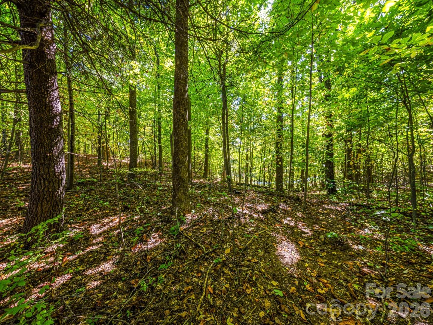 Lot 10 Berry Creek Drive Property Photo 22