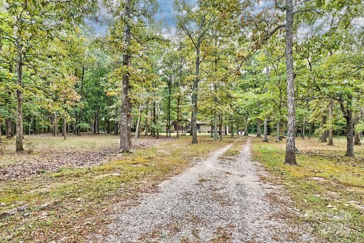 3966 Red Doc Road Property Photo 10