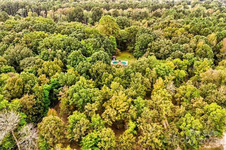 3966 Red Doc Road Property Photo 15