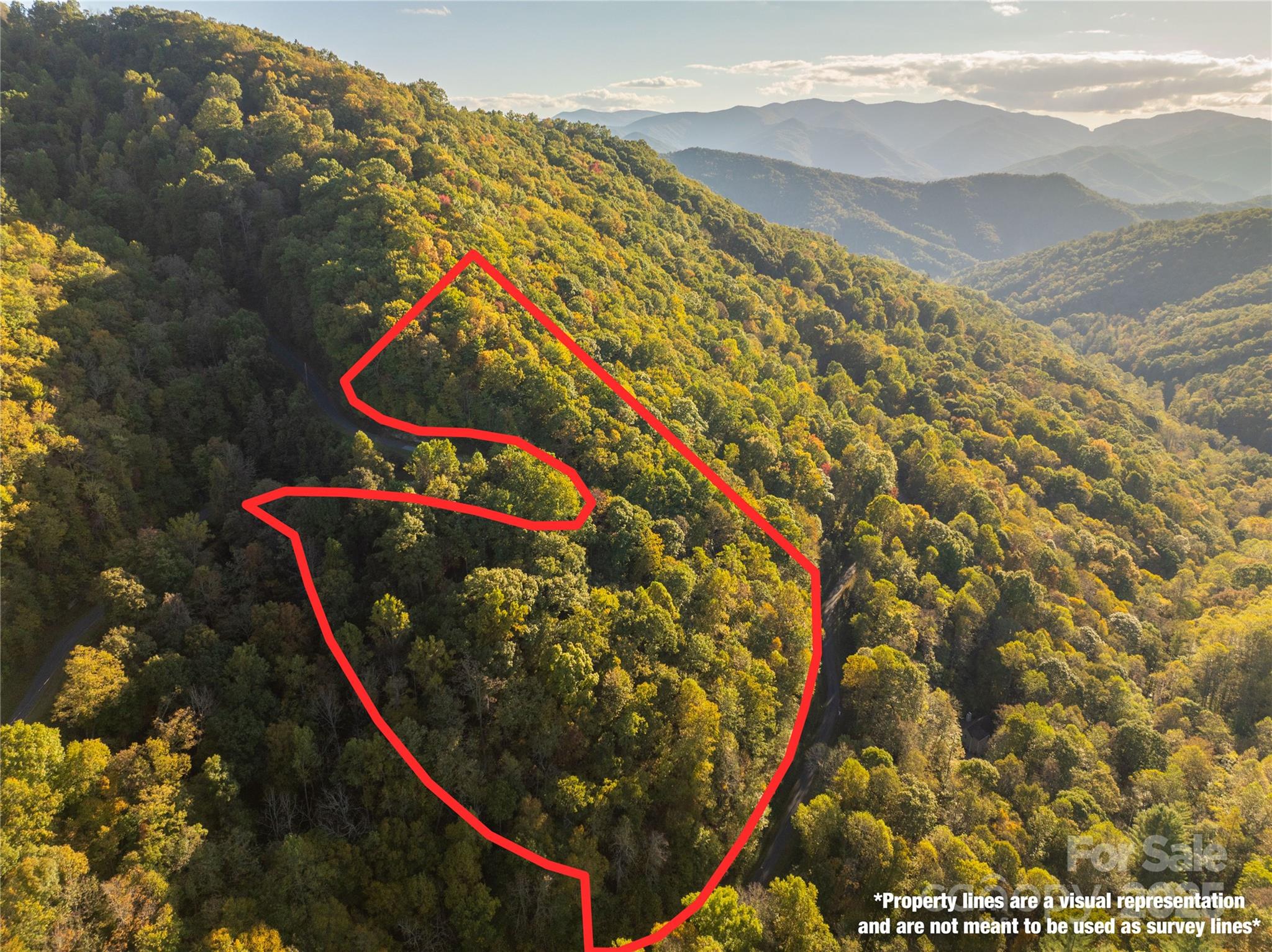 Lot 39 Brush Creek Mountain Road 39 Property Photo 1