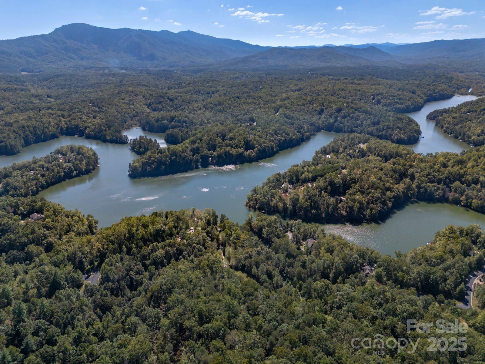 0 Mountain Parkway 29 Property Photo 3