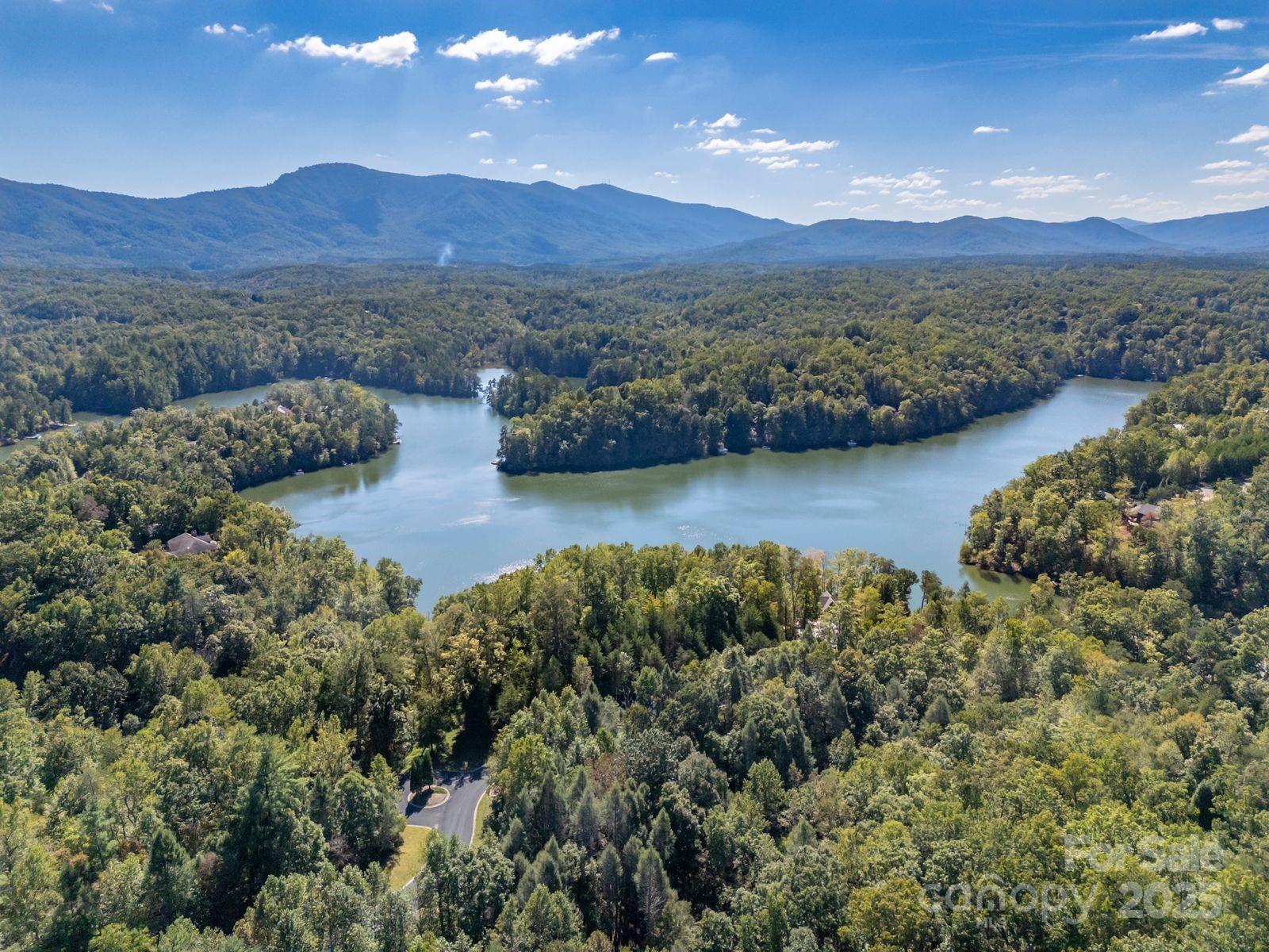 0 Mountain Parkway 29 Property Photo 6