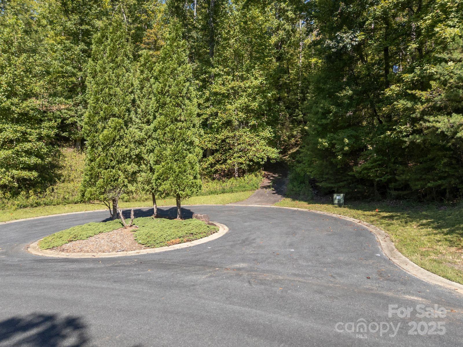 0 Mountain Parkway 29 Property Photo 8