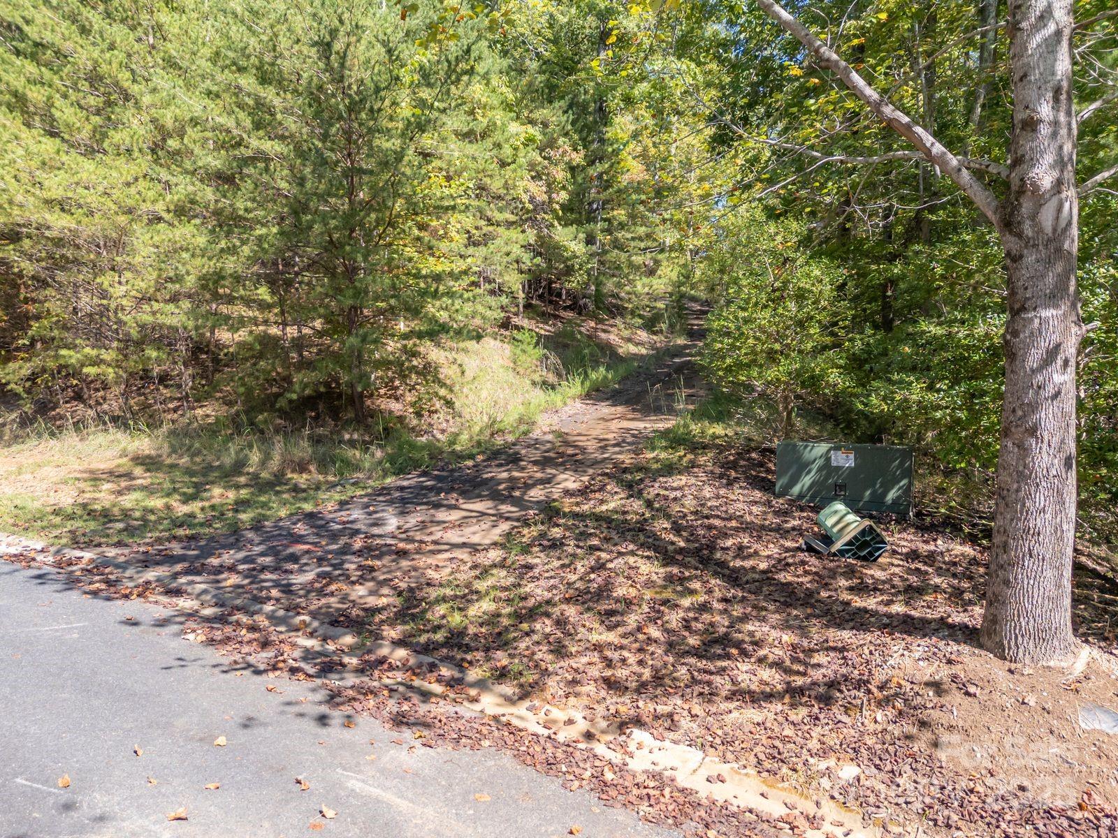 0 Mountain Parkway 29 Property Photo 9
