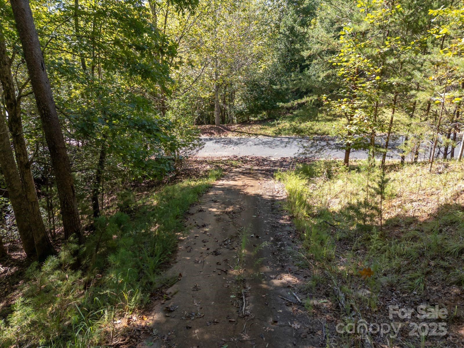 0 Mountain Parkway 29 Property Photo 10