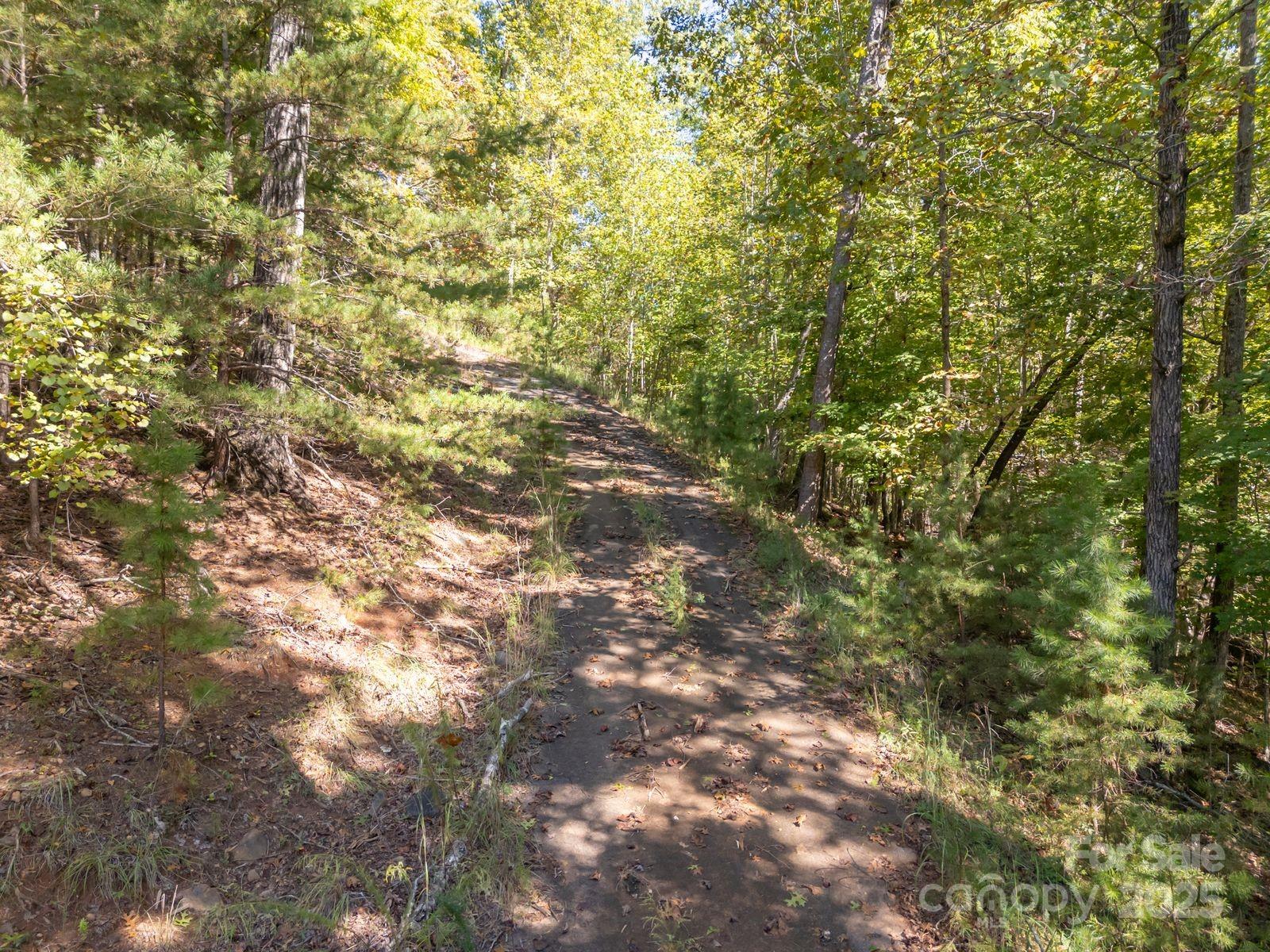 0 Mountain Parkway 29 Property Photo 11