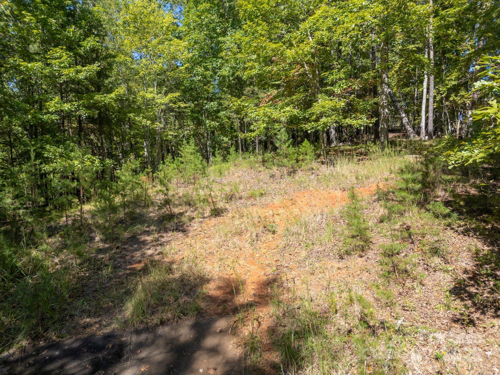 0 Mountain Parkway 29 Property Photo 12