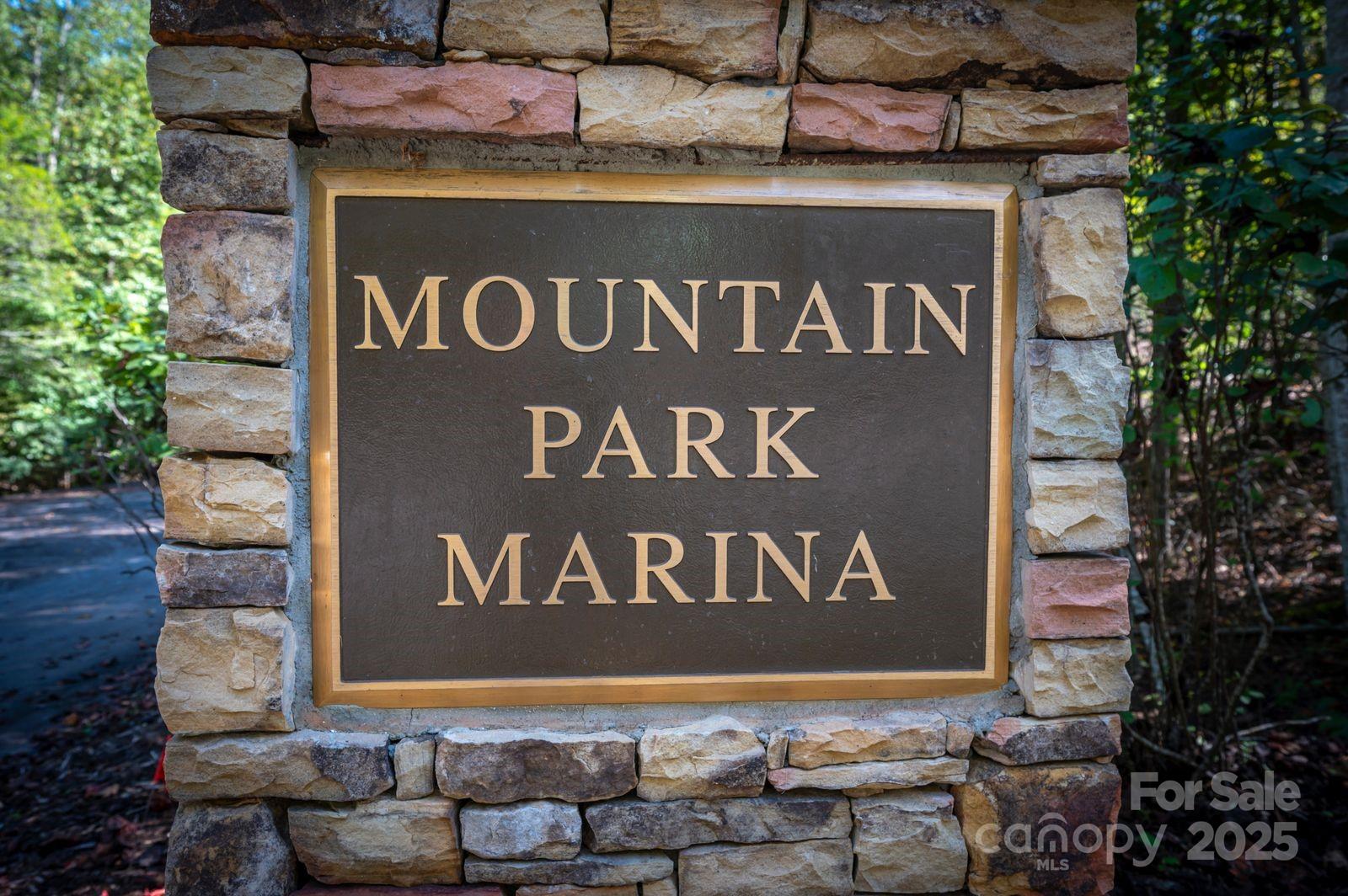 0 Mountain Parkway 29 Property Photo 13