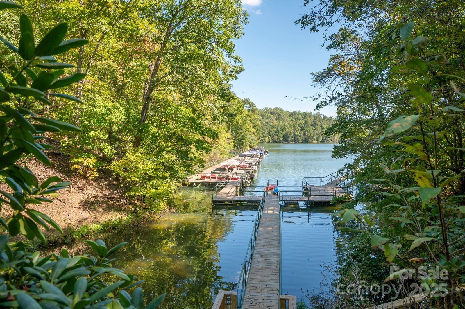 0 Mountain Parkway 29 Property Photo 15