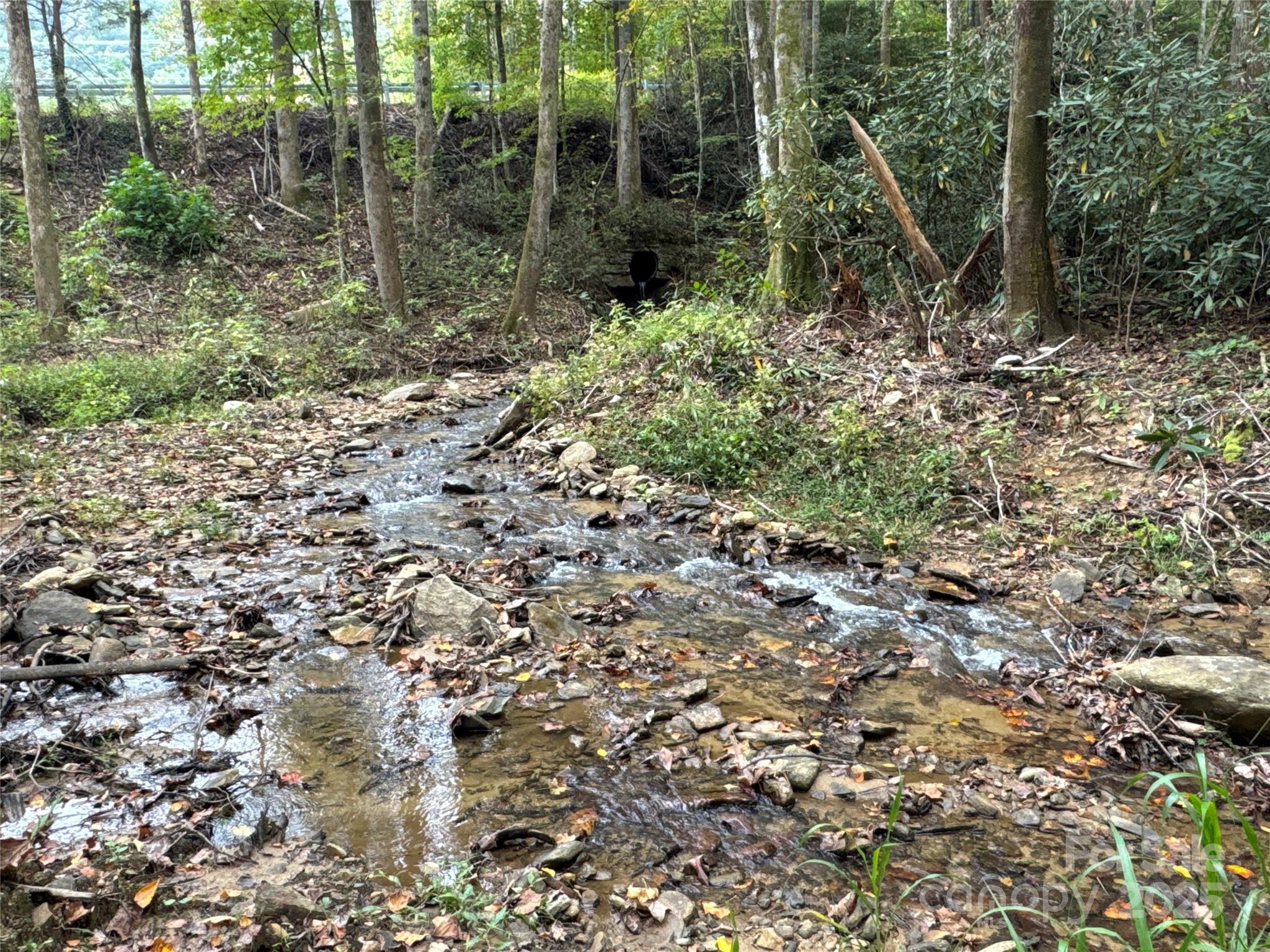 0 Mt Hebron Road Property Photo 1