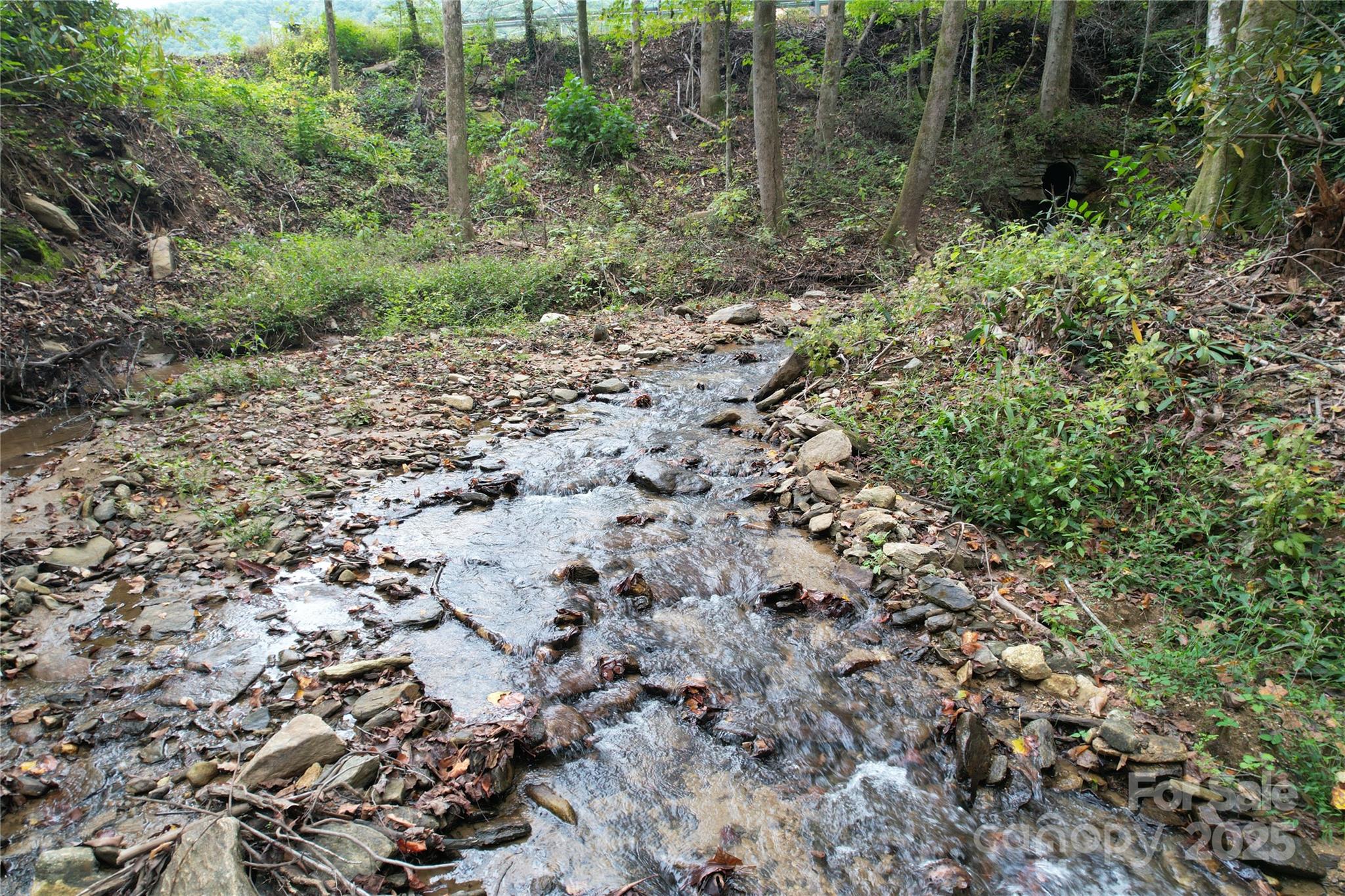 0 Mt Hebron Road Property Photo 4