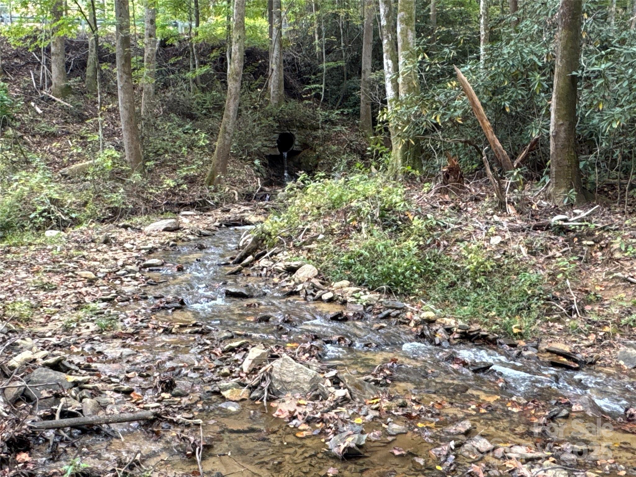 0 Mt Hebron Road Property Photo 7