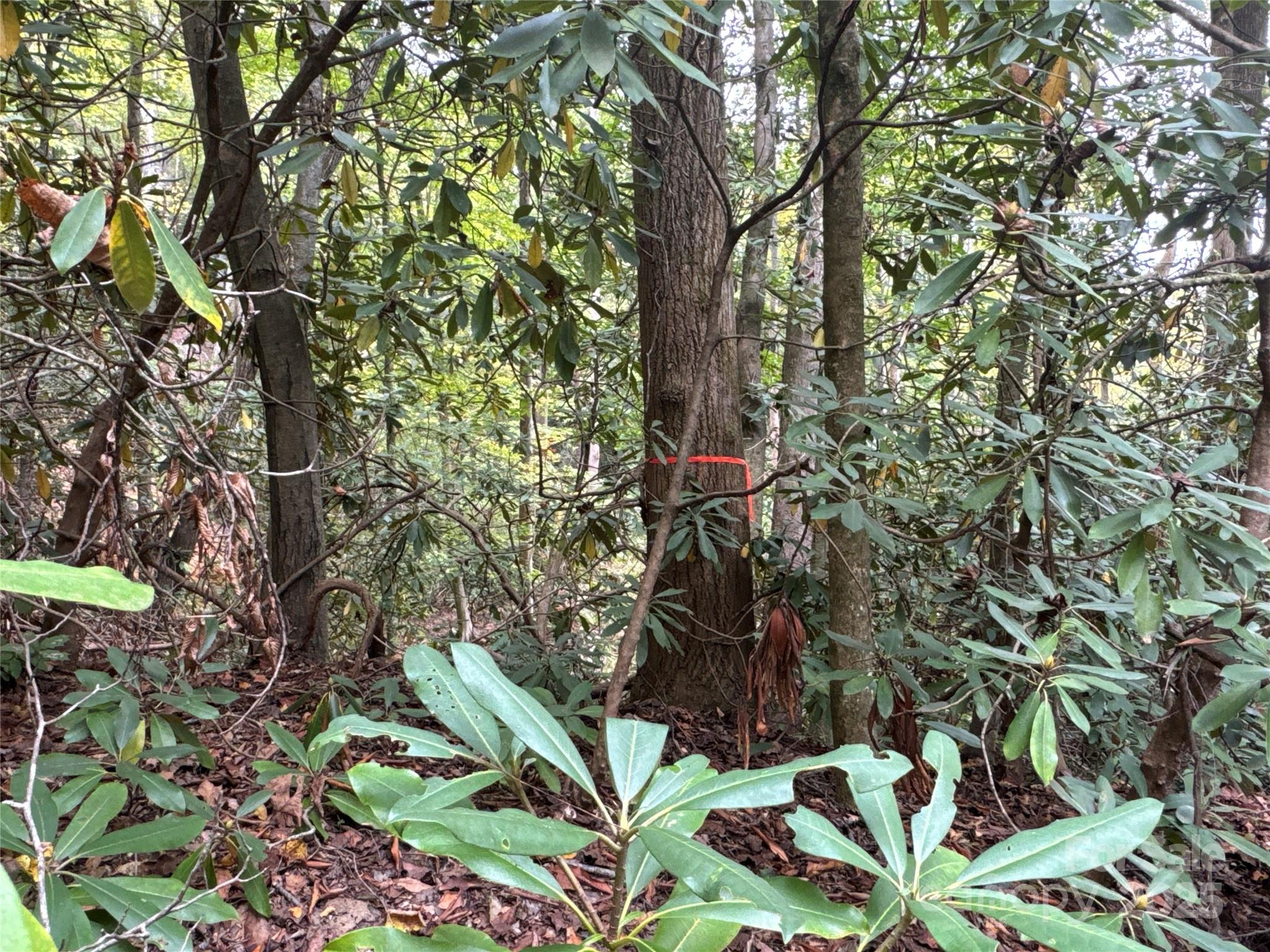 0 Mt Hebron Road Property Photo 8