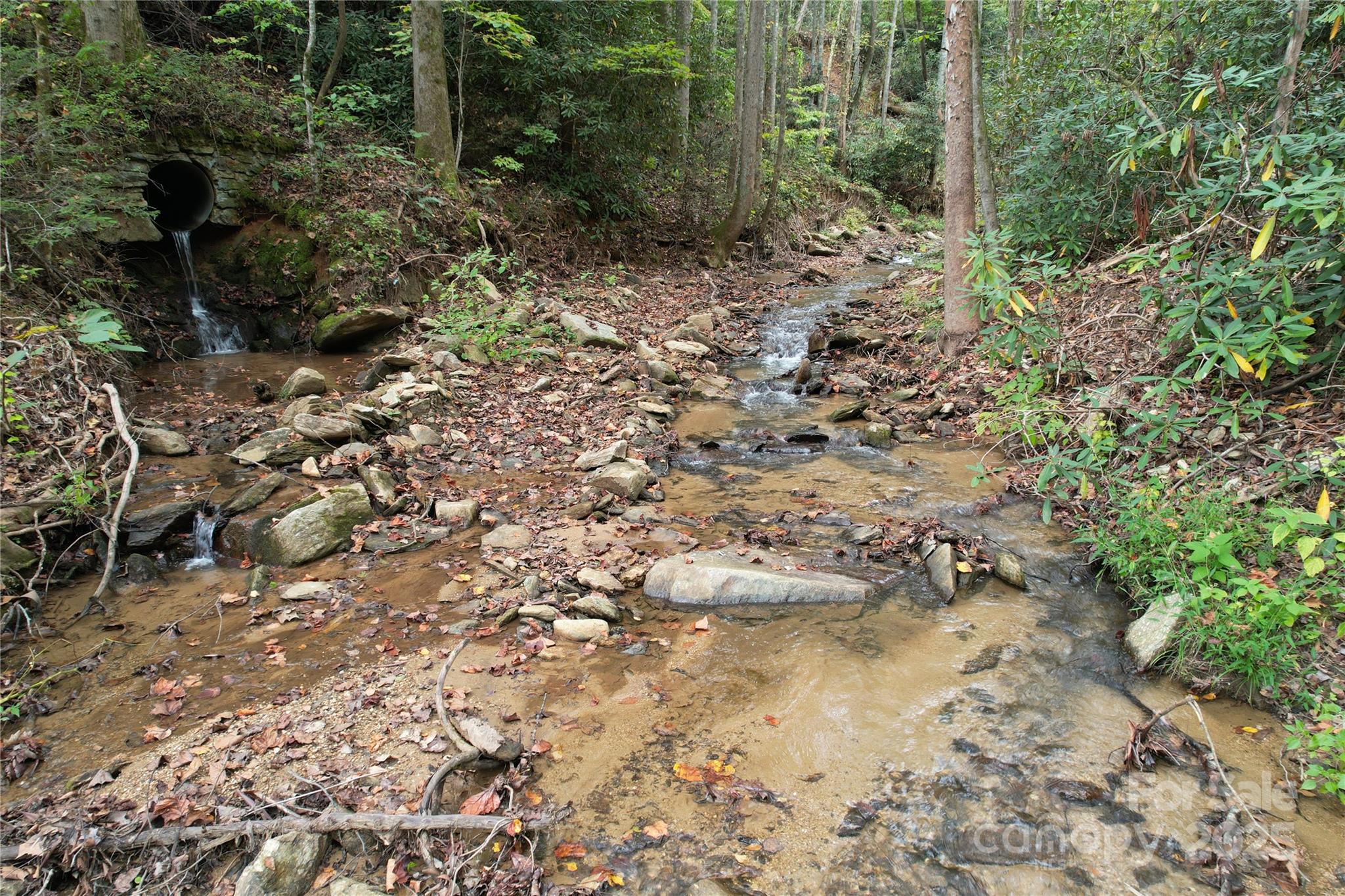 0 Mt Hebron Road Property Photo 9