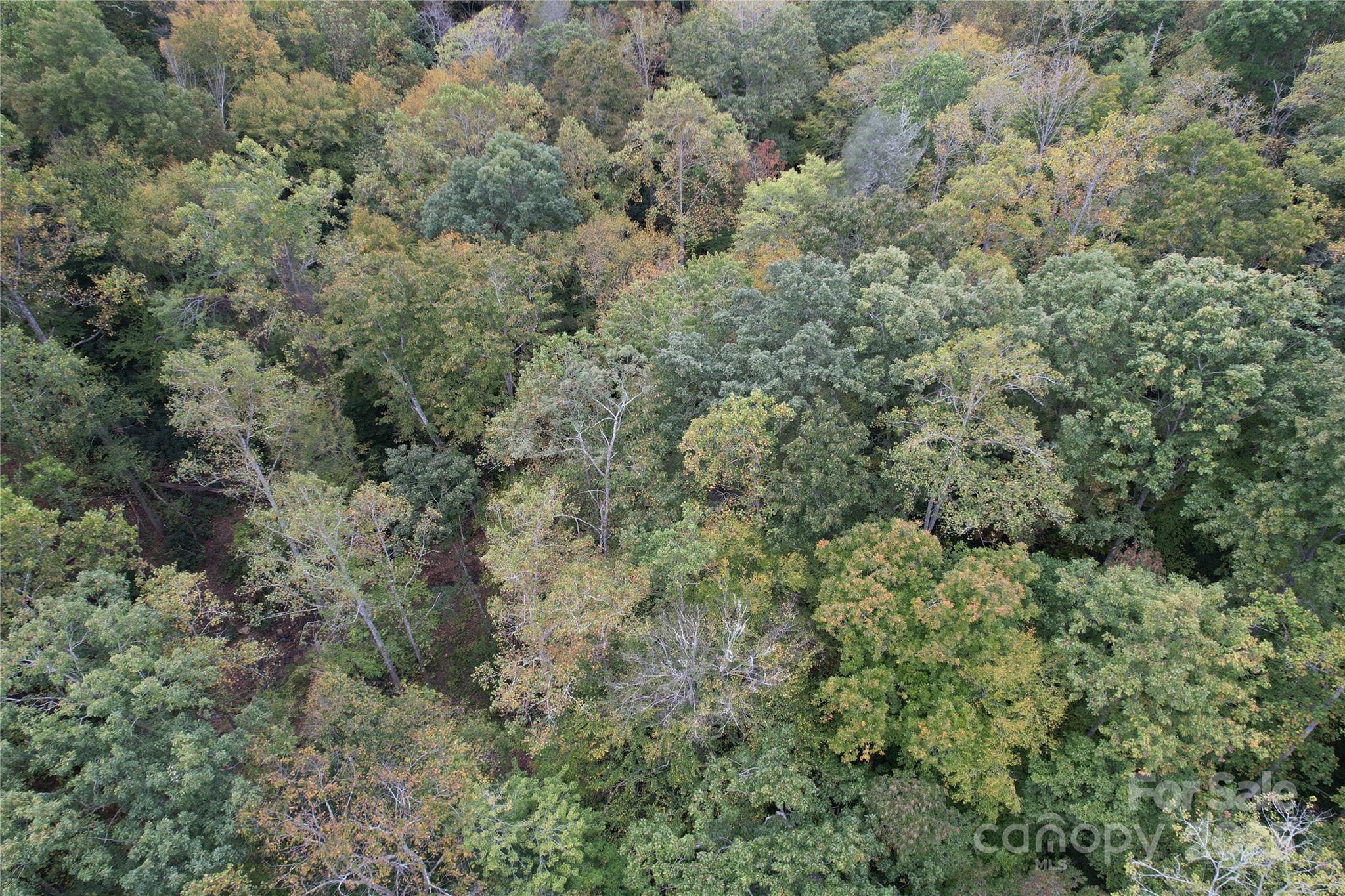 0 Mt Hebron Road Property Photo 12