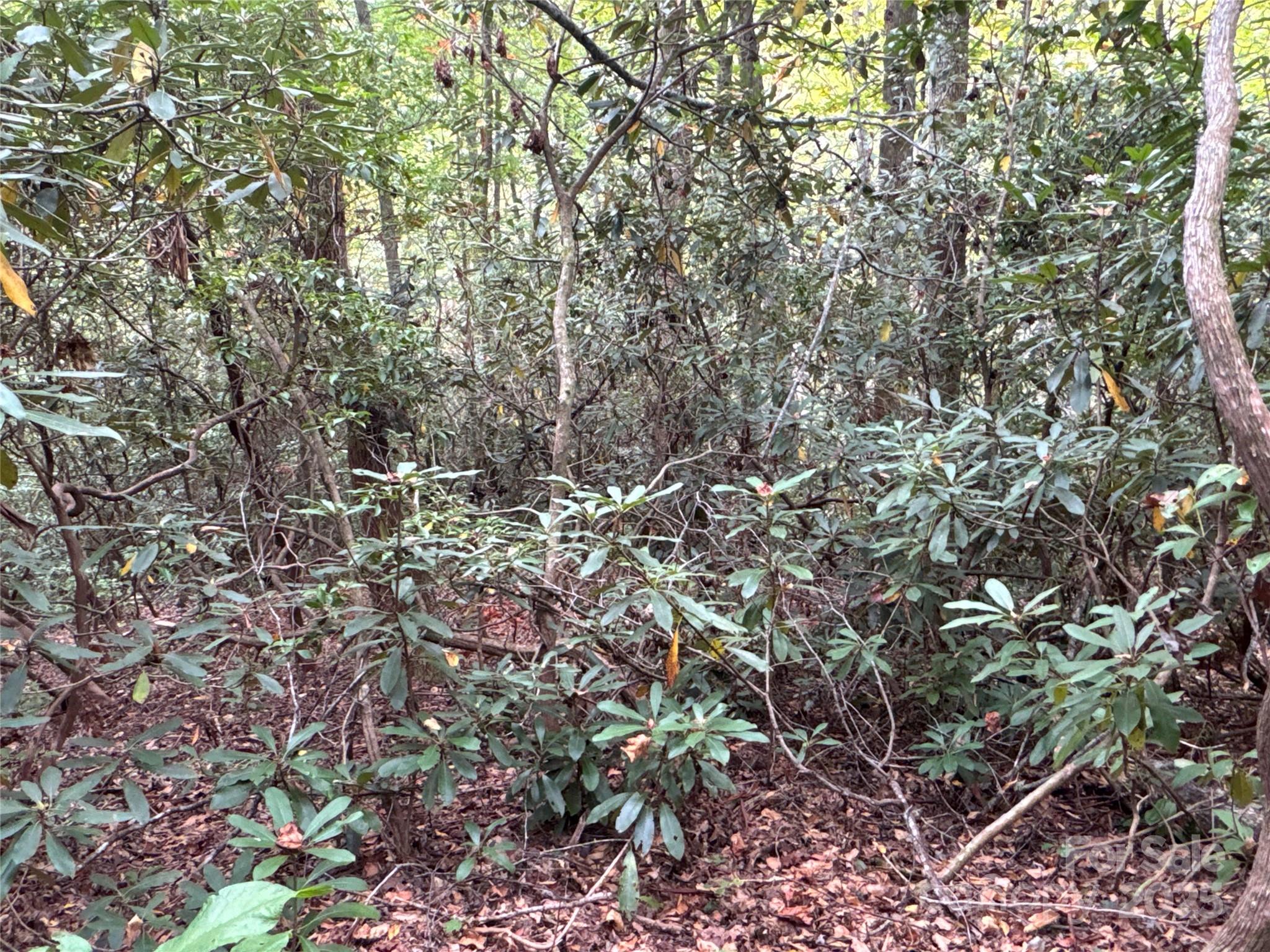 0 Mt Hebron Road Property Photo 13