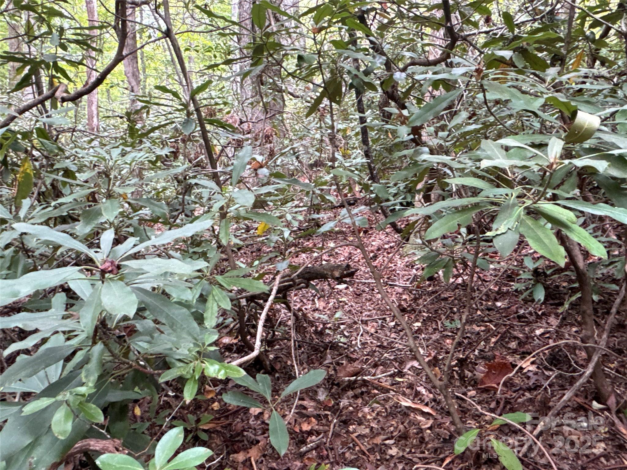 0 Mt Hebron Road Property Photo 14