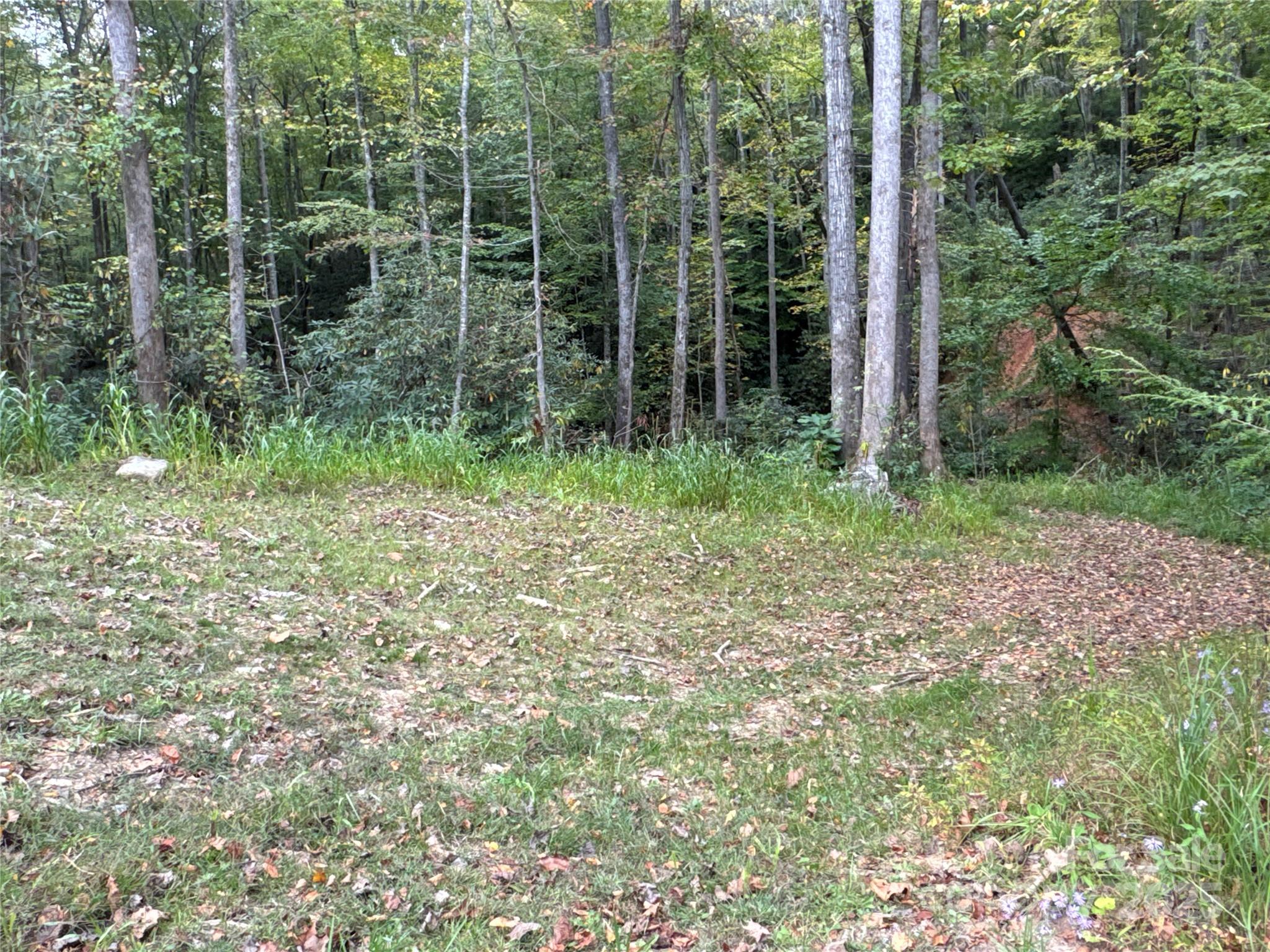 0 Mt Hebron Road Property Photo 15