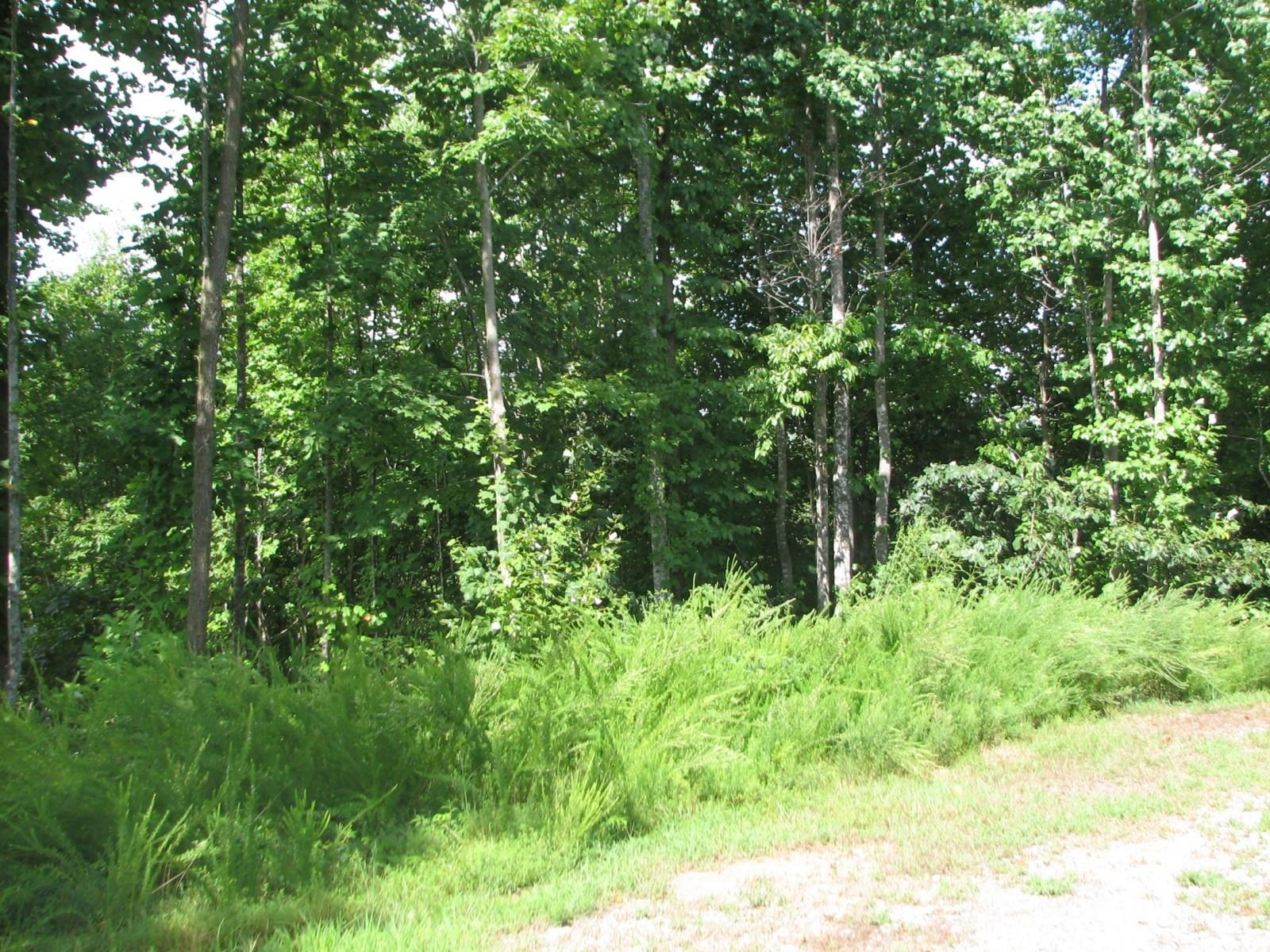 0000 Double Eagle Drive 25 Property Photo 12