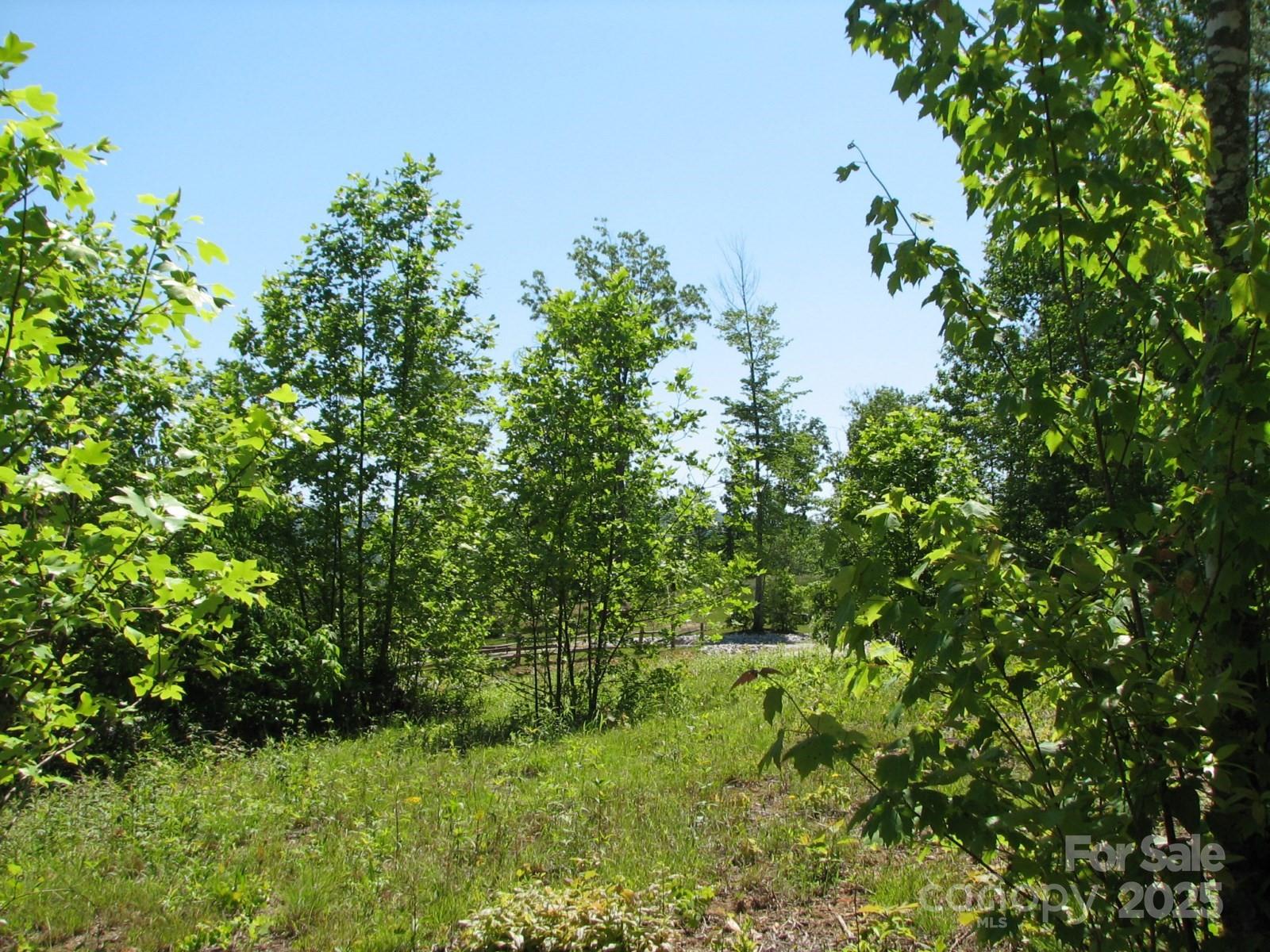 0000 Double Eagle Drive 25 Property Photo 15