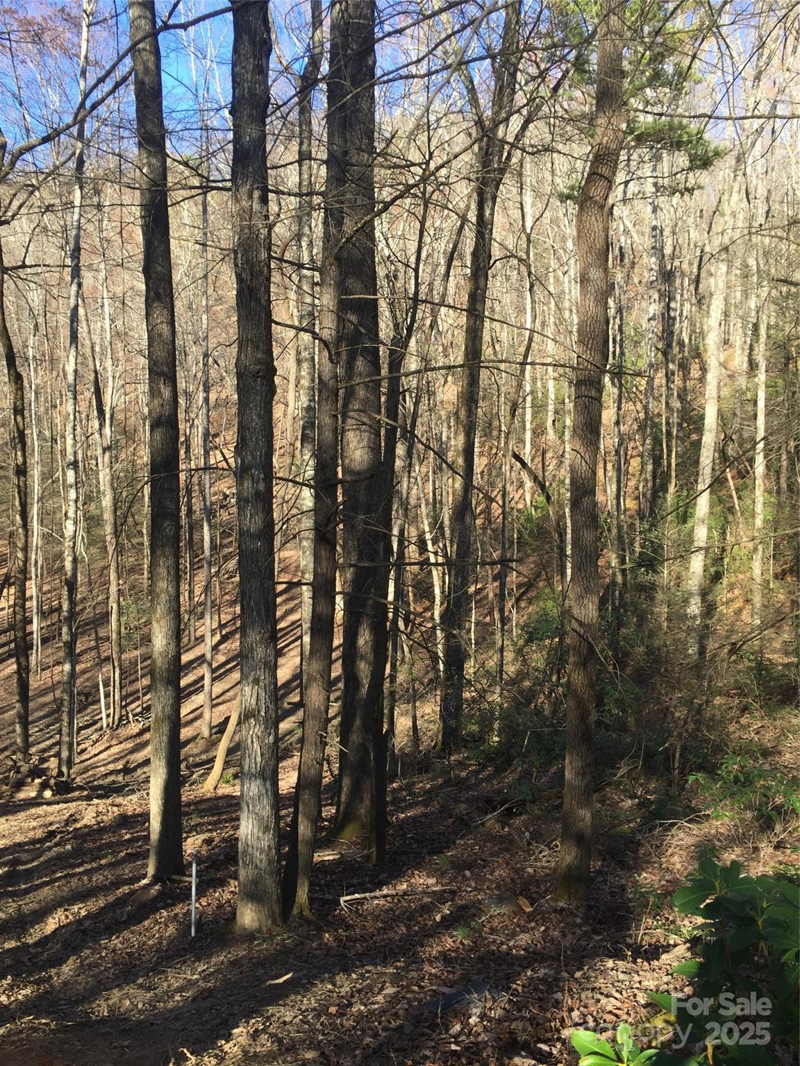 0000 Double Eagle Drive 25 Property Photo 22