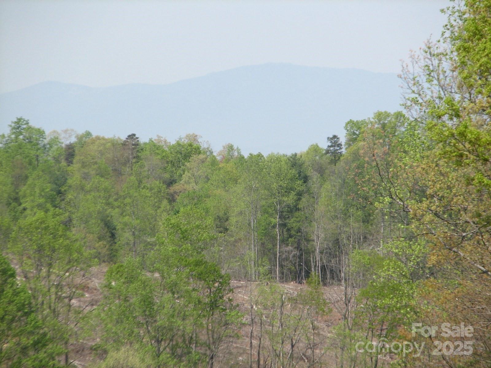 0000 Double Eagle Drive 25 Property Photo 35